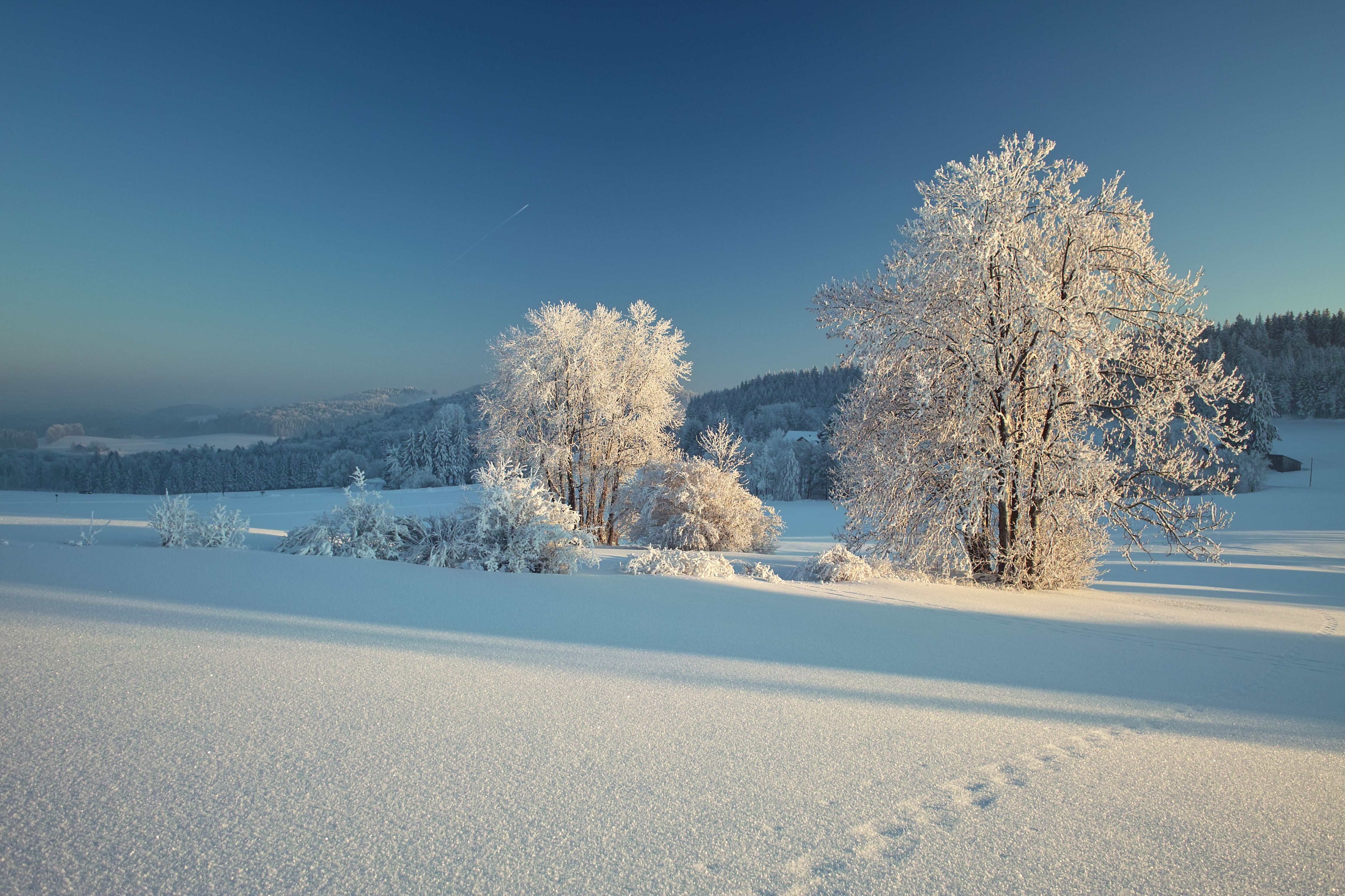 Видео природа зима. Зимний пейзаж. Зимняя природа. Фотографии зимы. Красивые пейзажи зимы.