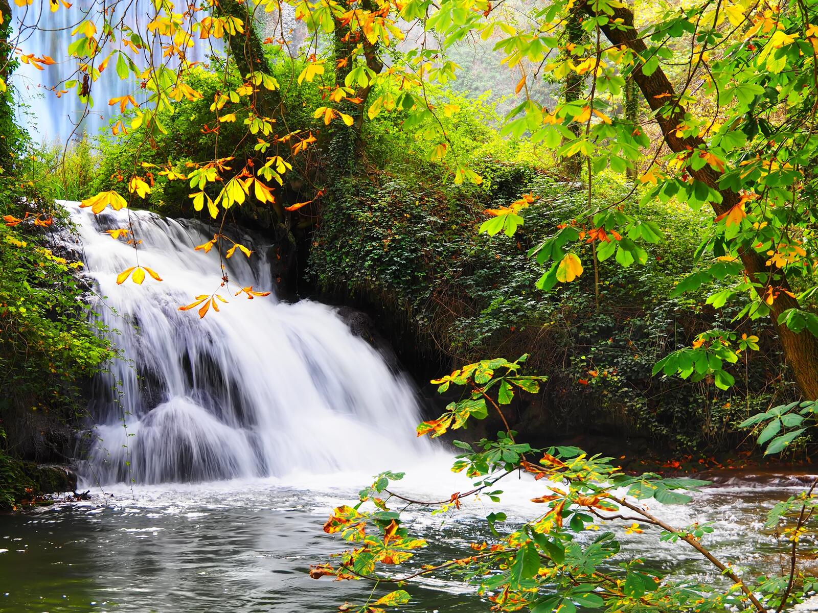 Wallpapers landscape waterfall in the forest nature on the desktop