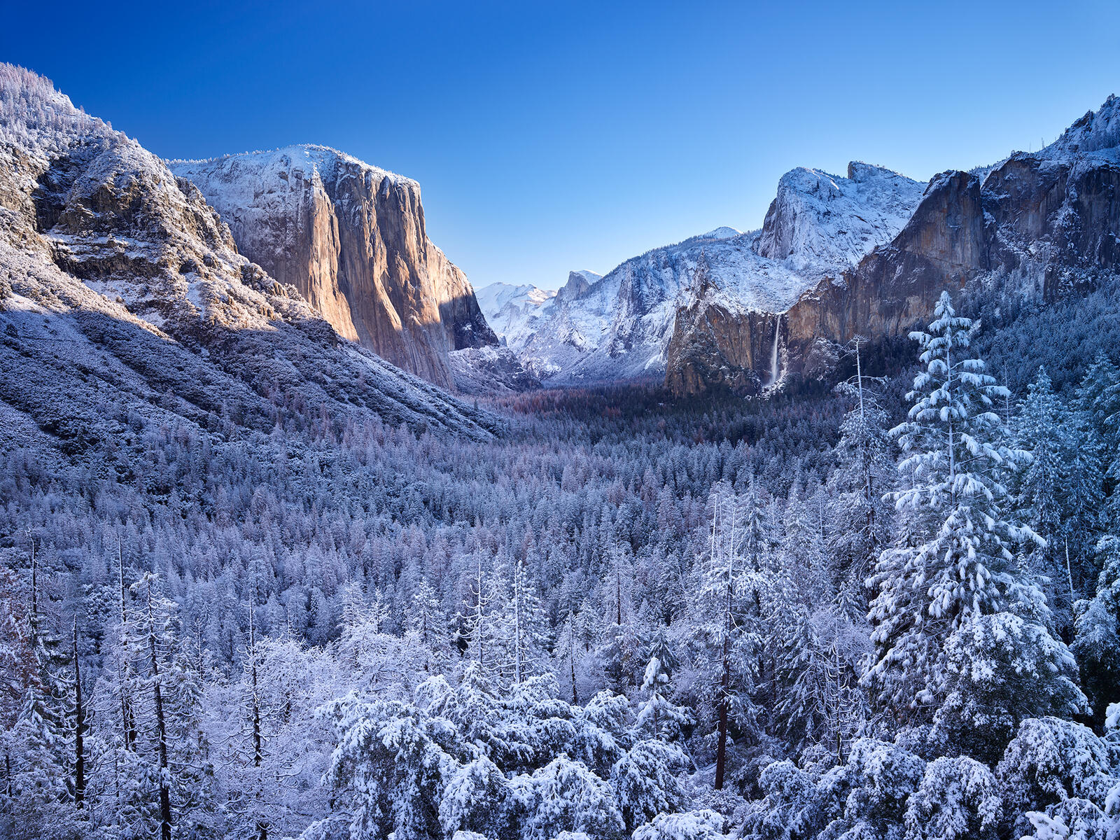 桌面上的壁纸冬季 景观 加利福尼亚州
