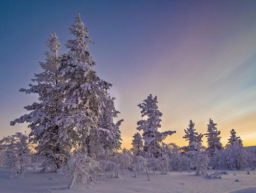 Download landscape, snow wallpaper for free