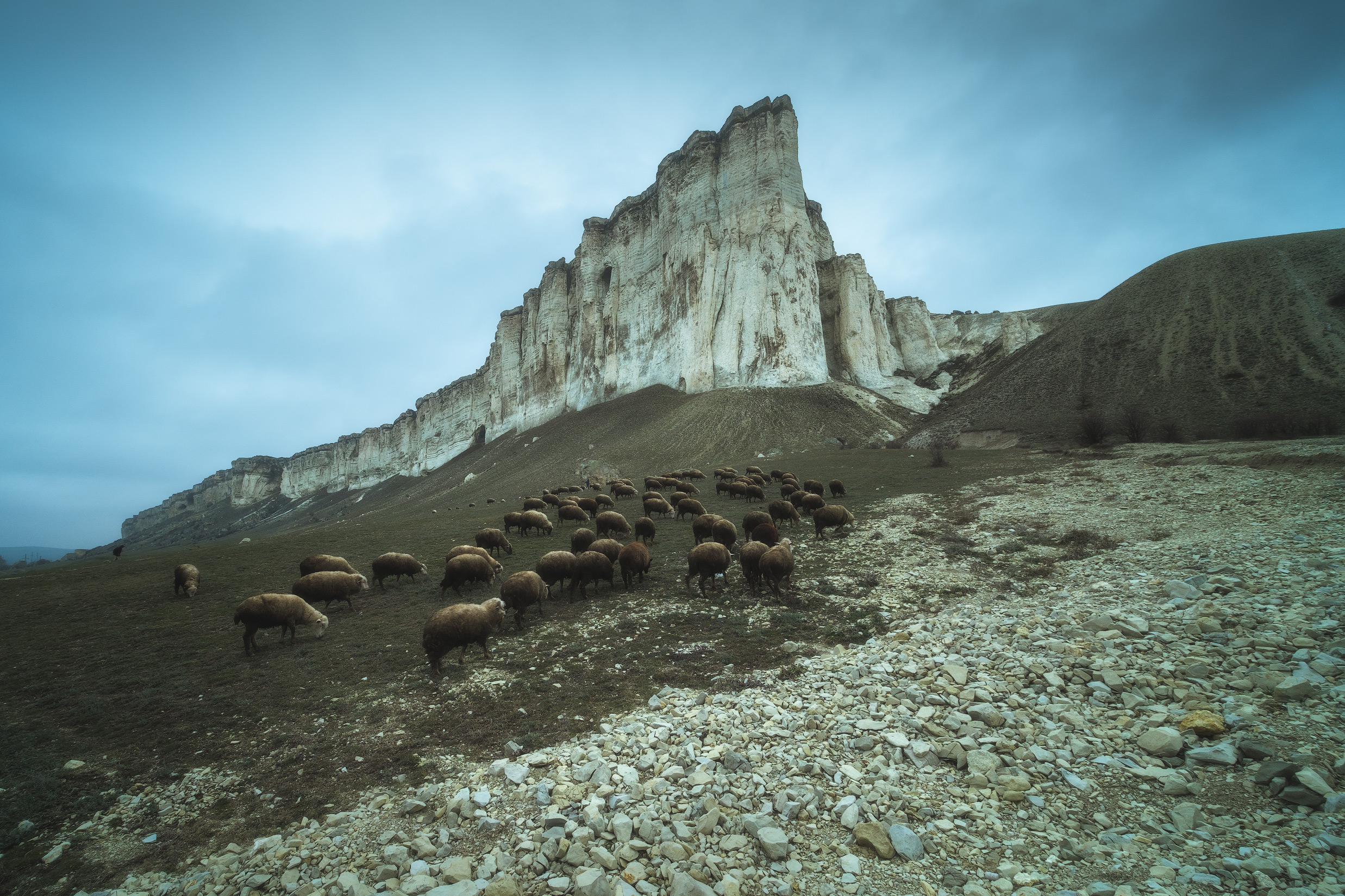 免费照片白石山脚下的羊群