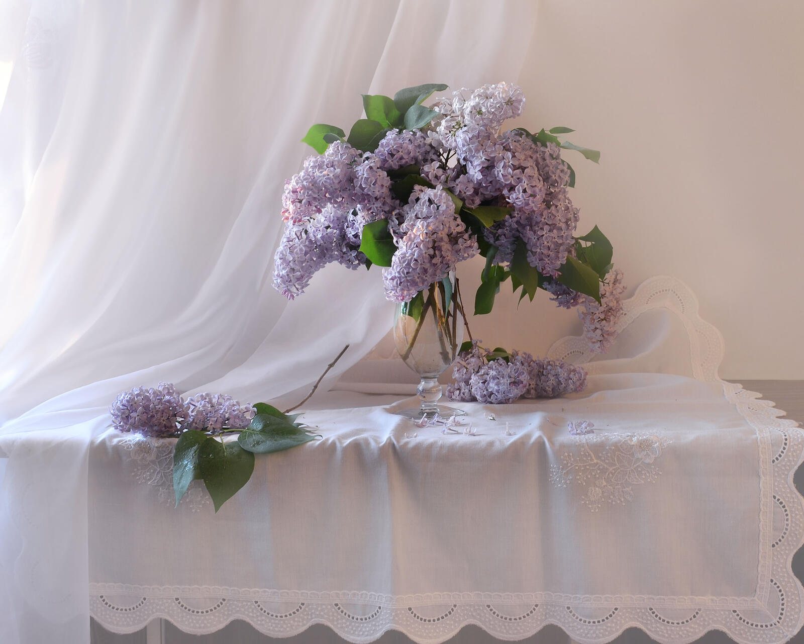 Wallpapers still life lilac photo on the desktop