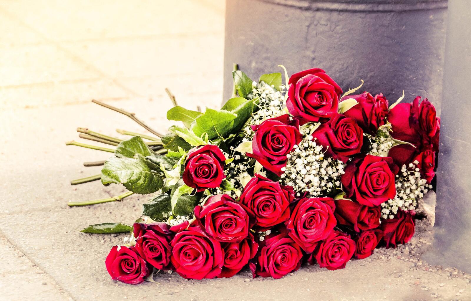 Обои красный букет роза цветы на рабочий стол