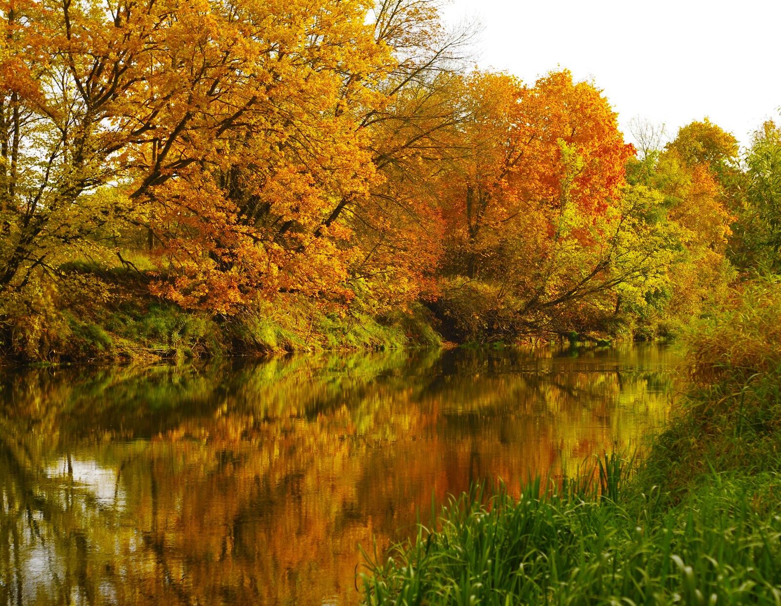 免费照片秋天的自由，照片河热