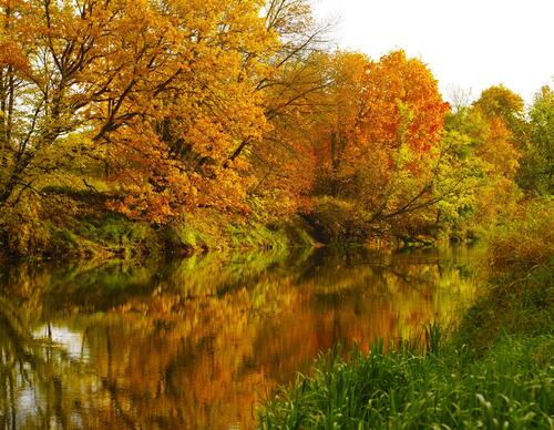 Осень бесплатно, фото река горячие