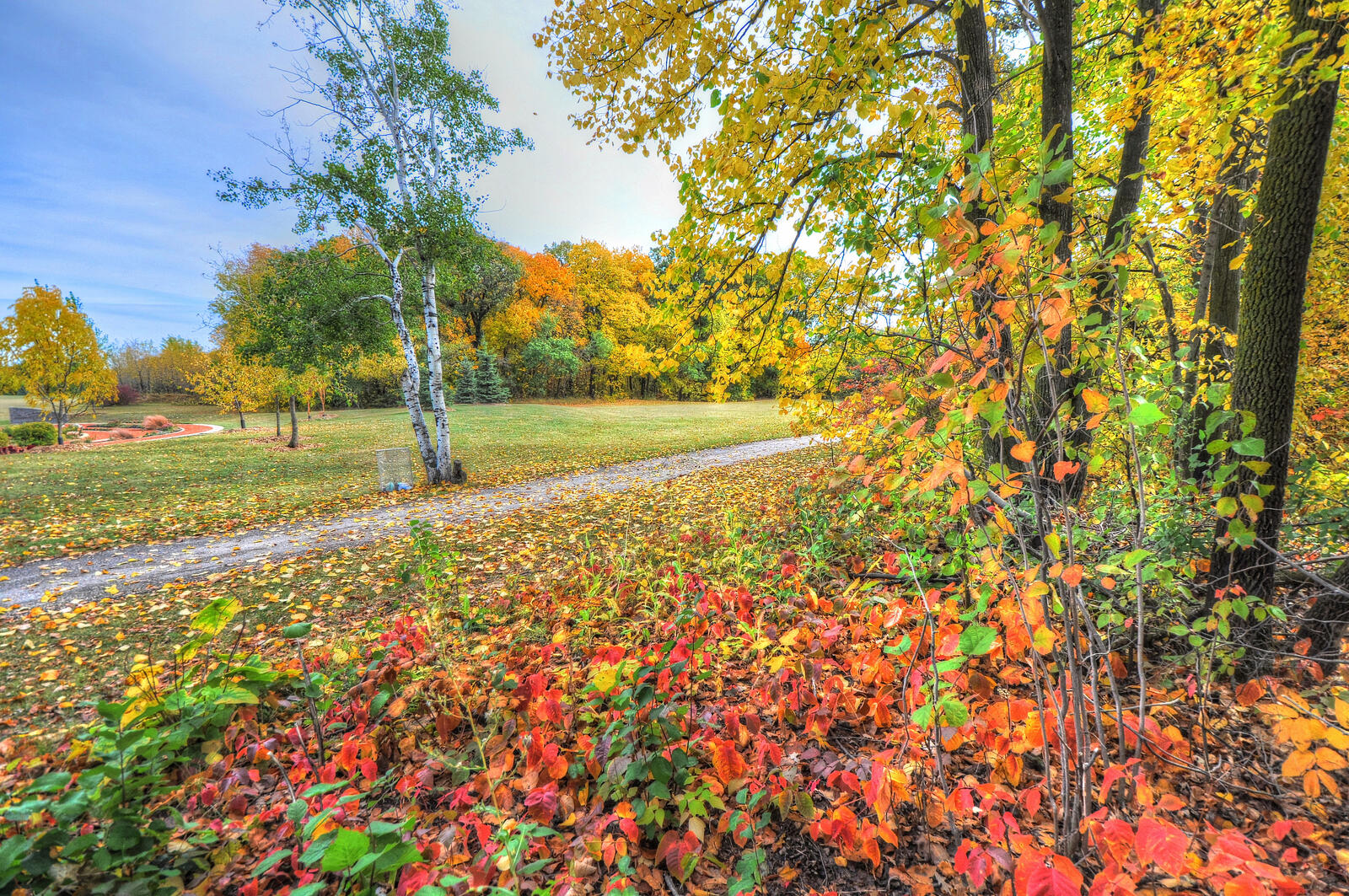 Wallpapers autumn leaves landscape trail on the desktop