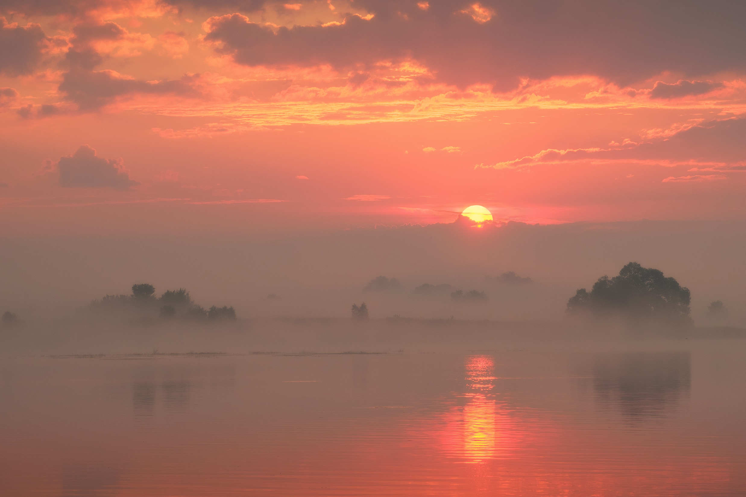 免费照片奥卡河上的黎明