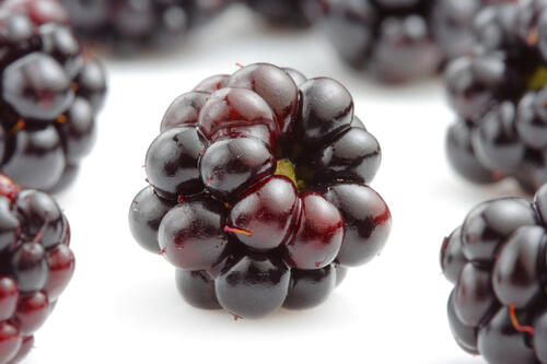 Blackberries on a white background