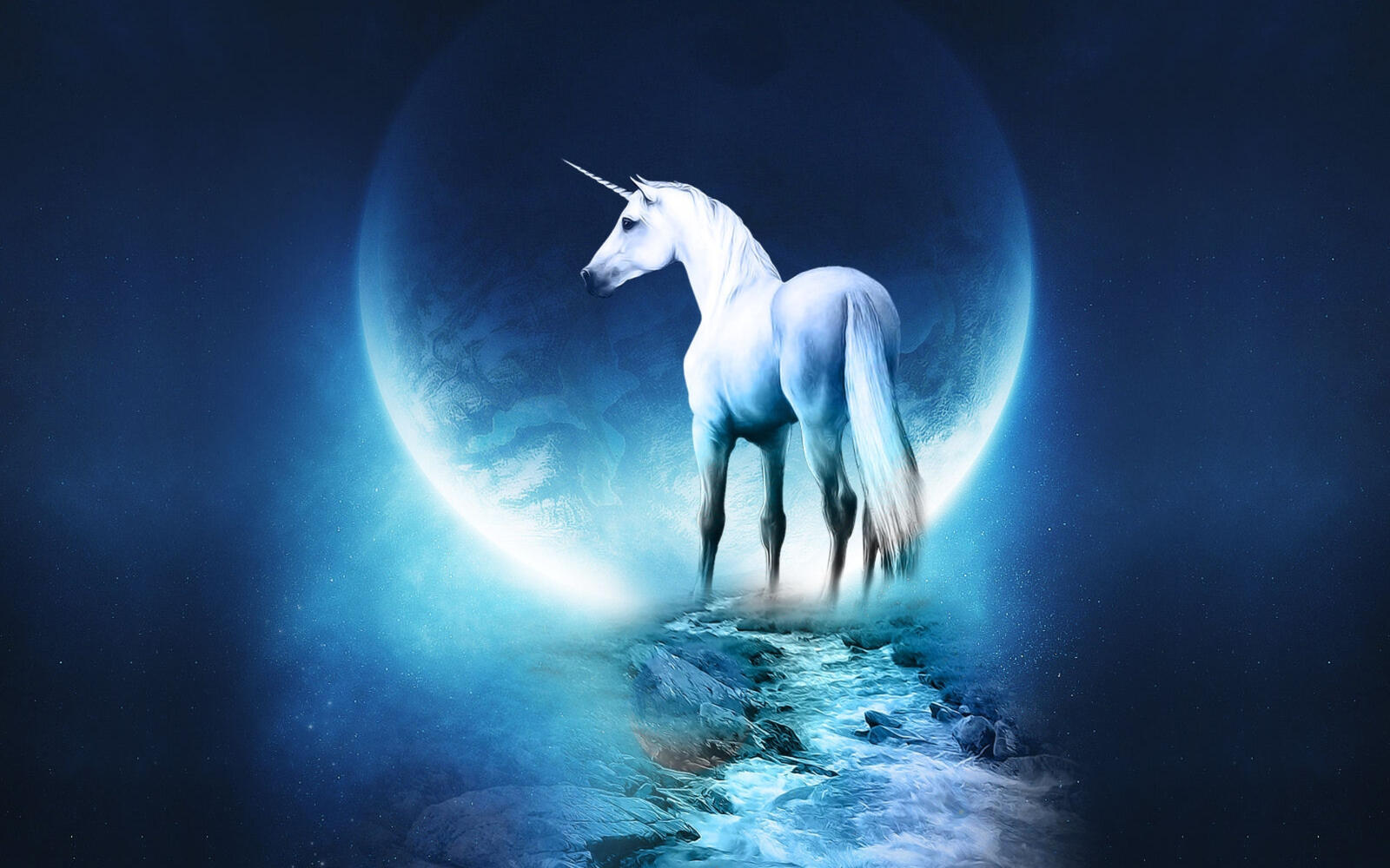 Wallpapers animal horse magic on the desktop