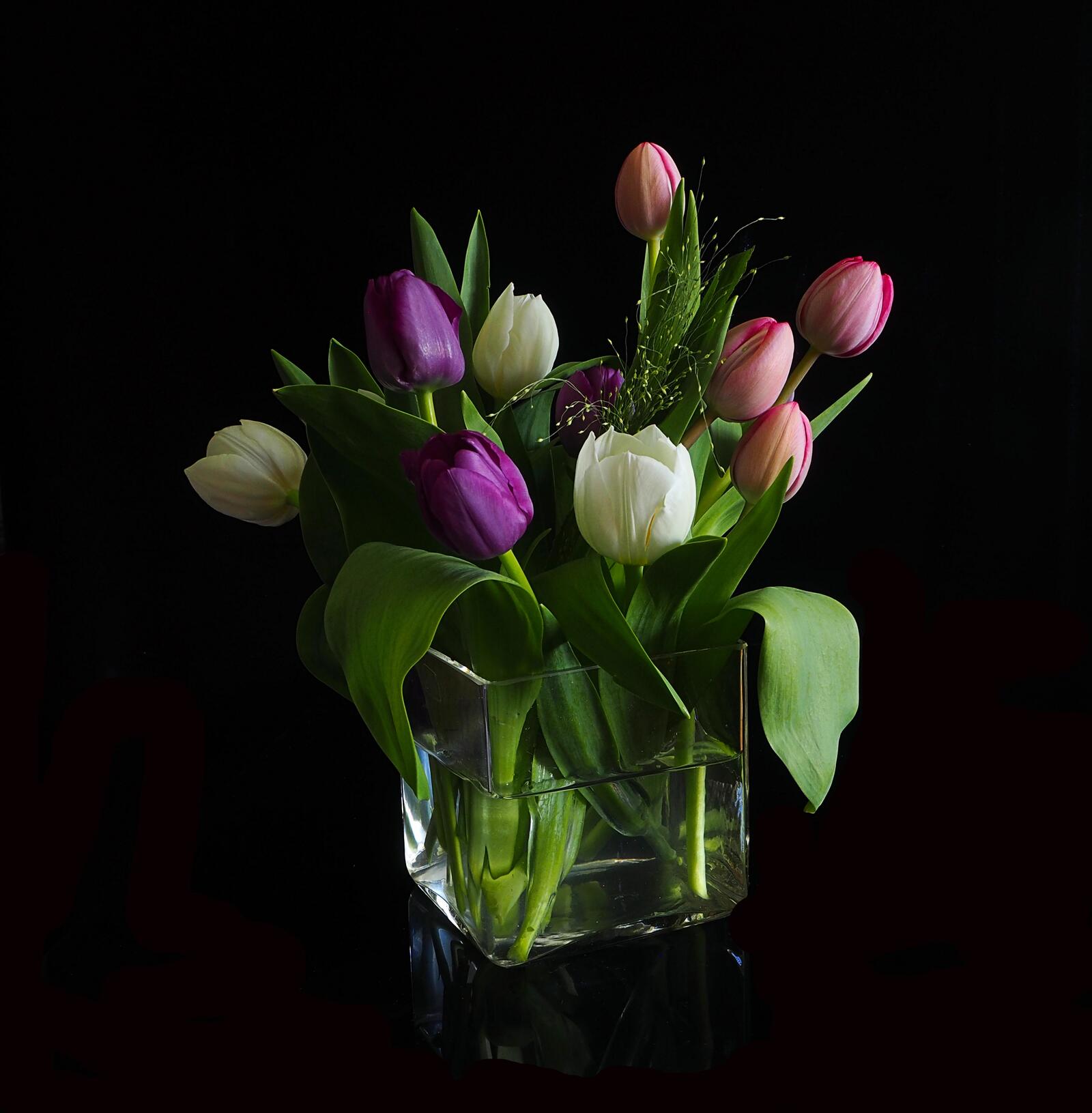 Обои ваза флора цветы на рабочий стол