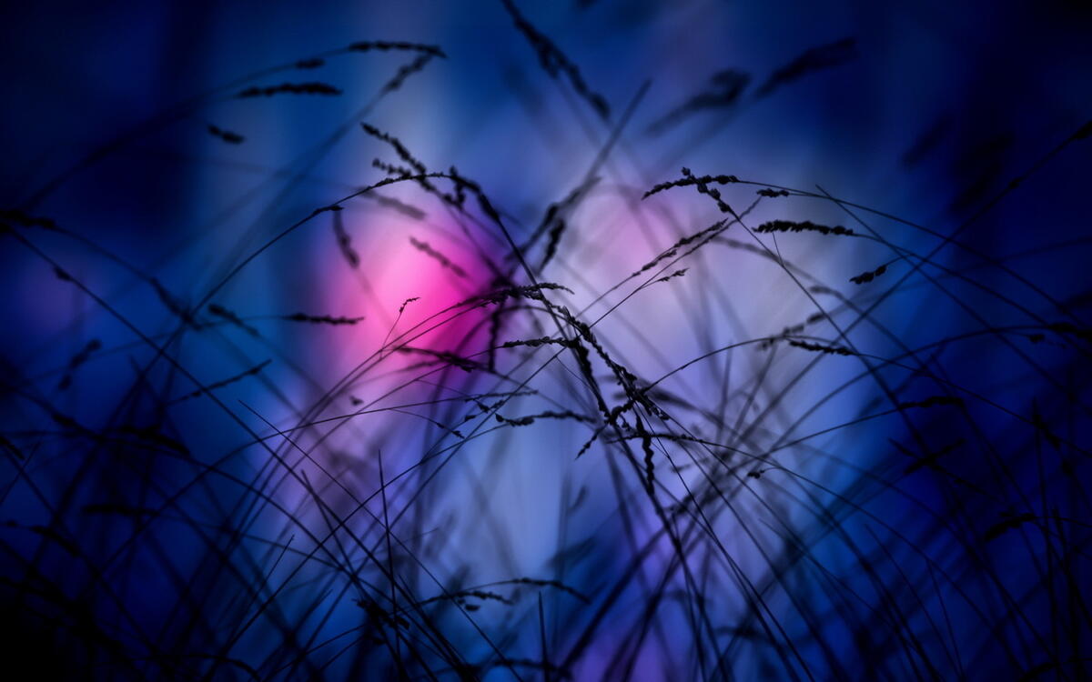 Grass in the night closeup