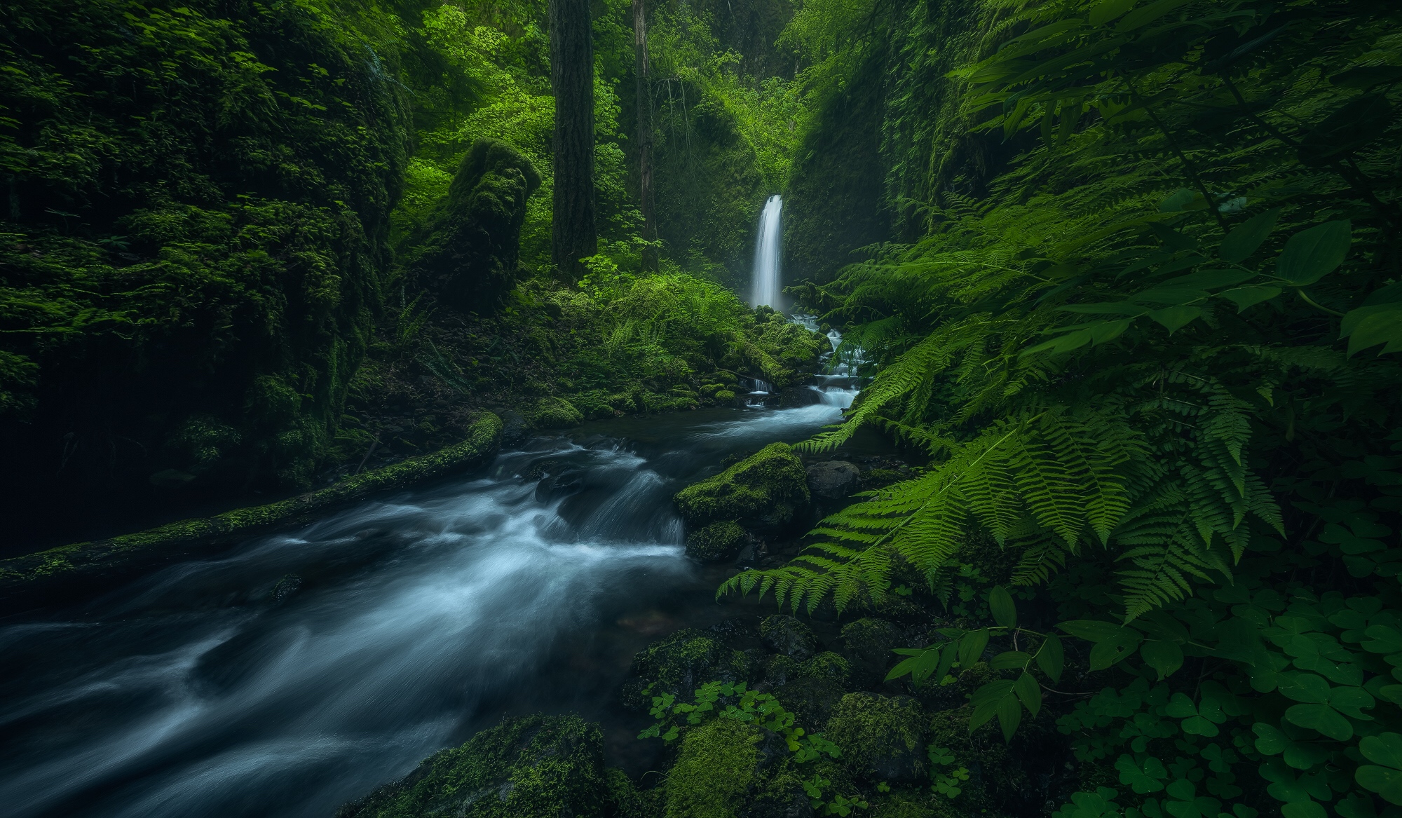 Wallpapers Oregon s Columbia River Gorge waterfall river on the desktop