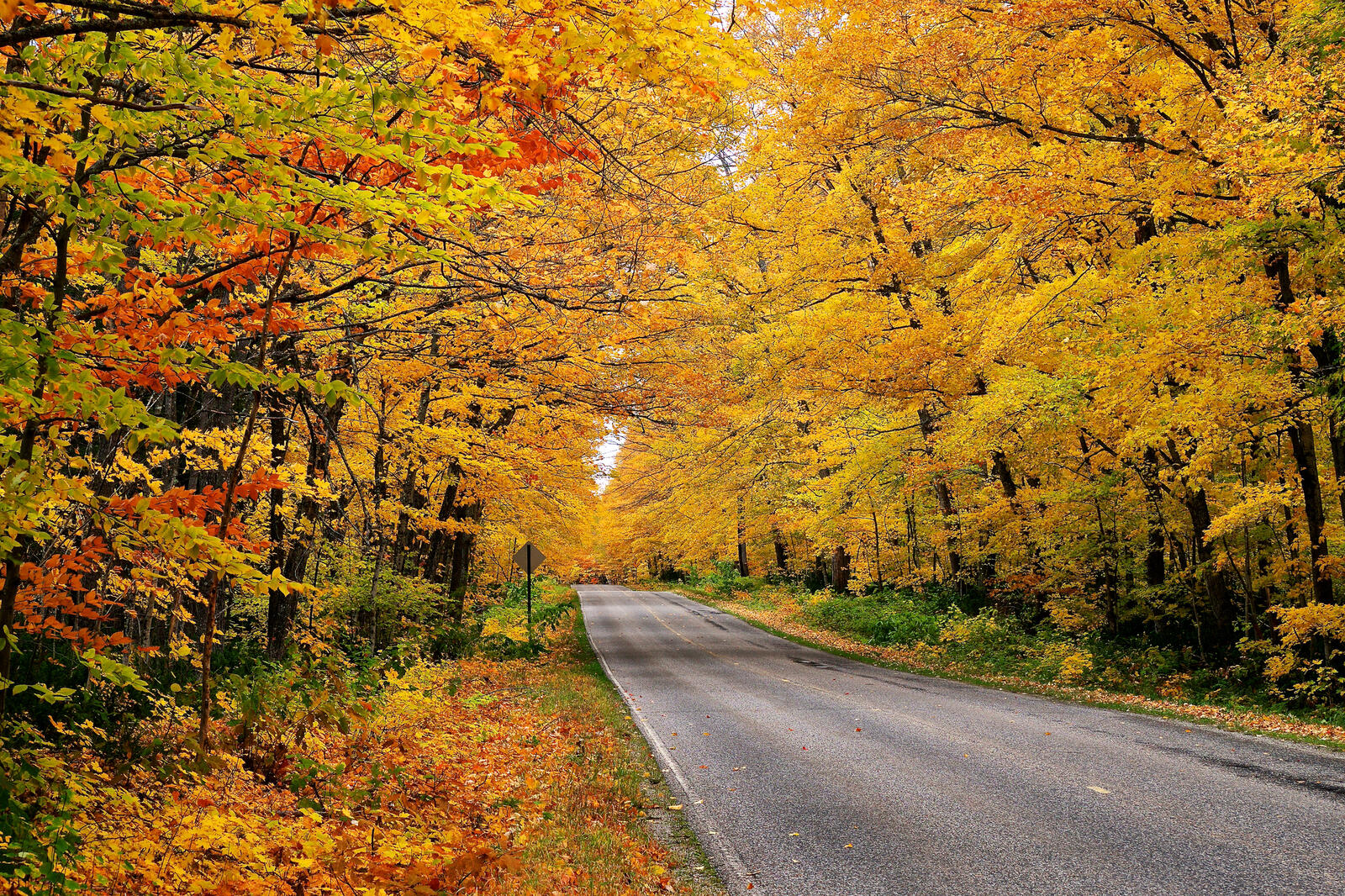 Wallpapers autumn road landscape trees on the desktop