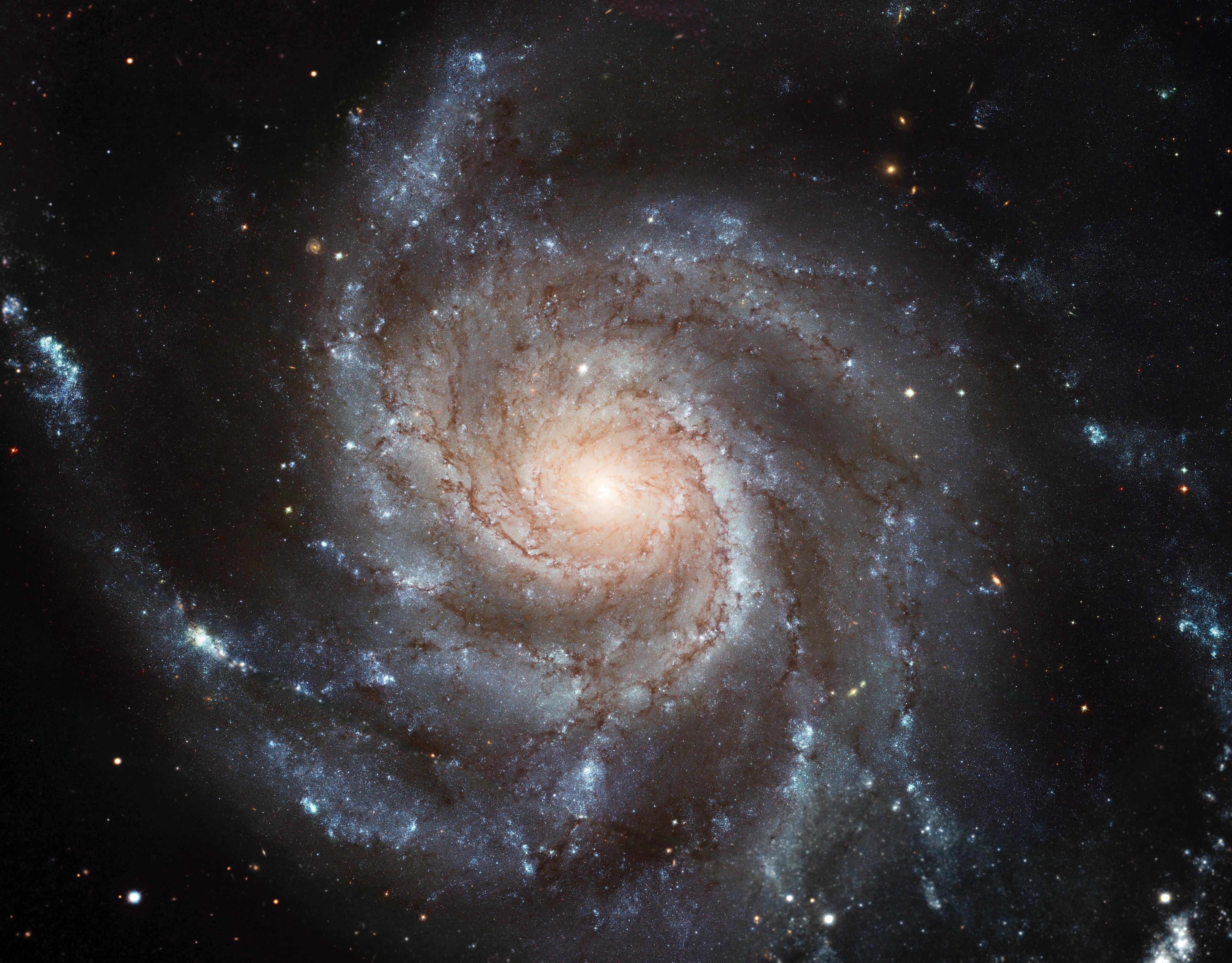 Wallpapers spiral nebula pinwheel galaxy stars on the desktop