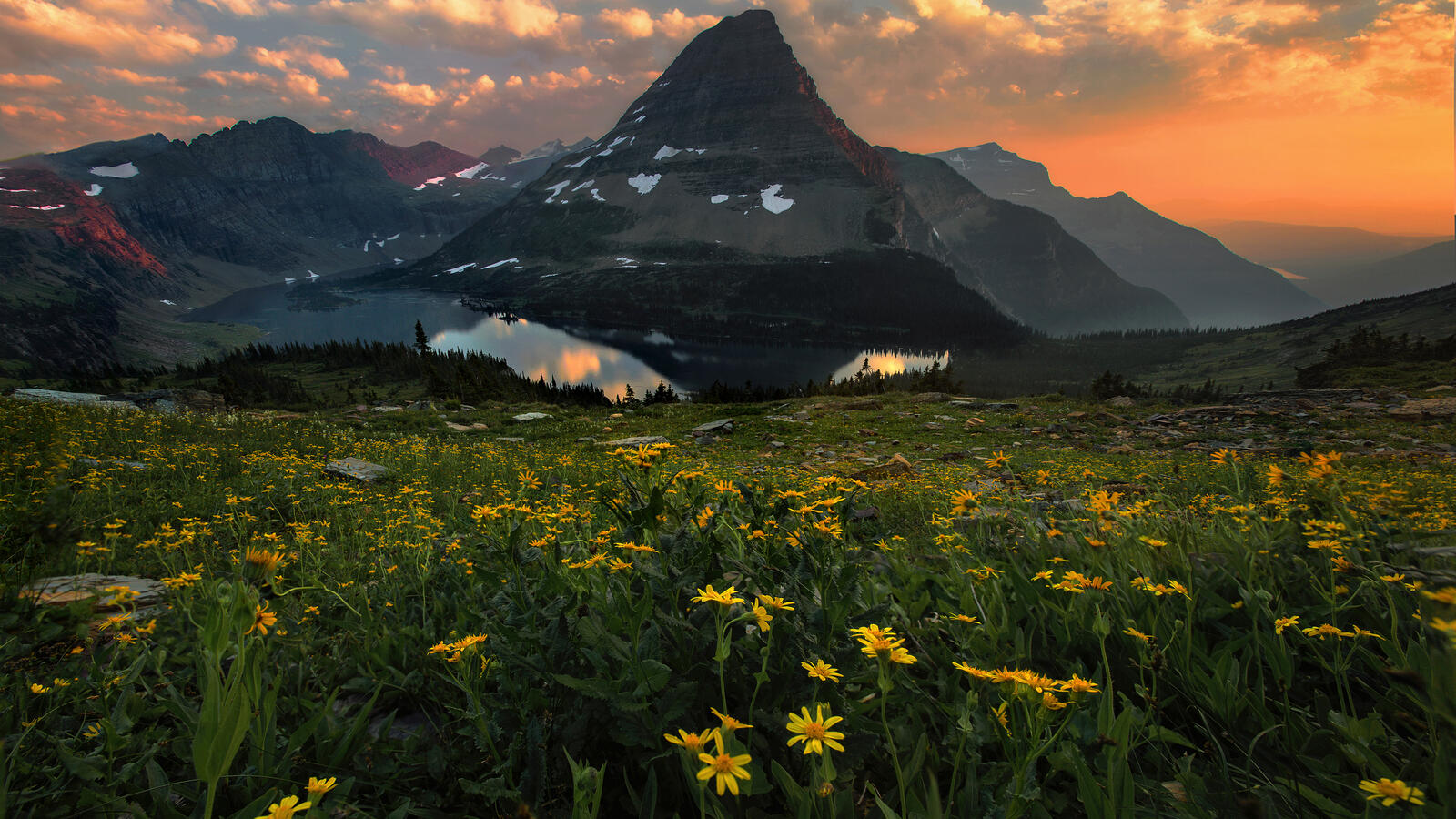 Бесплатное фото Цветущий луг и горы