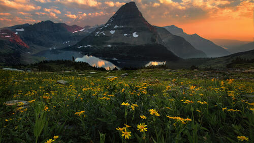 Flowering meadow and mountains