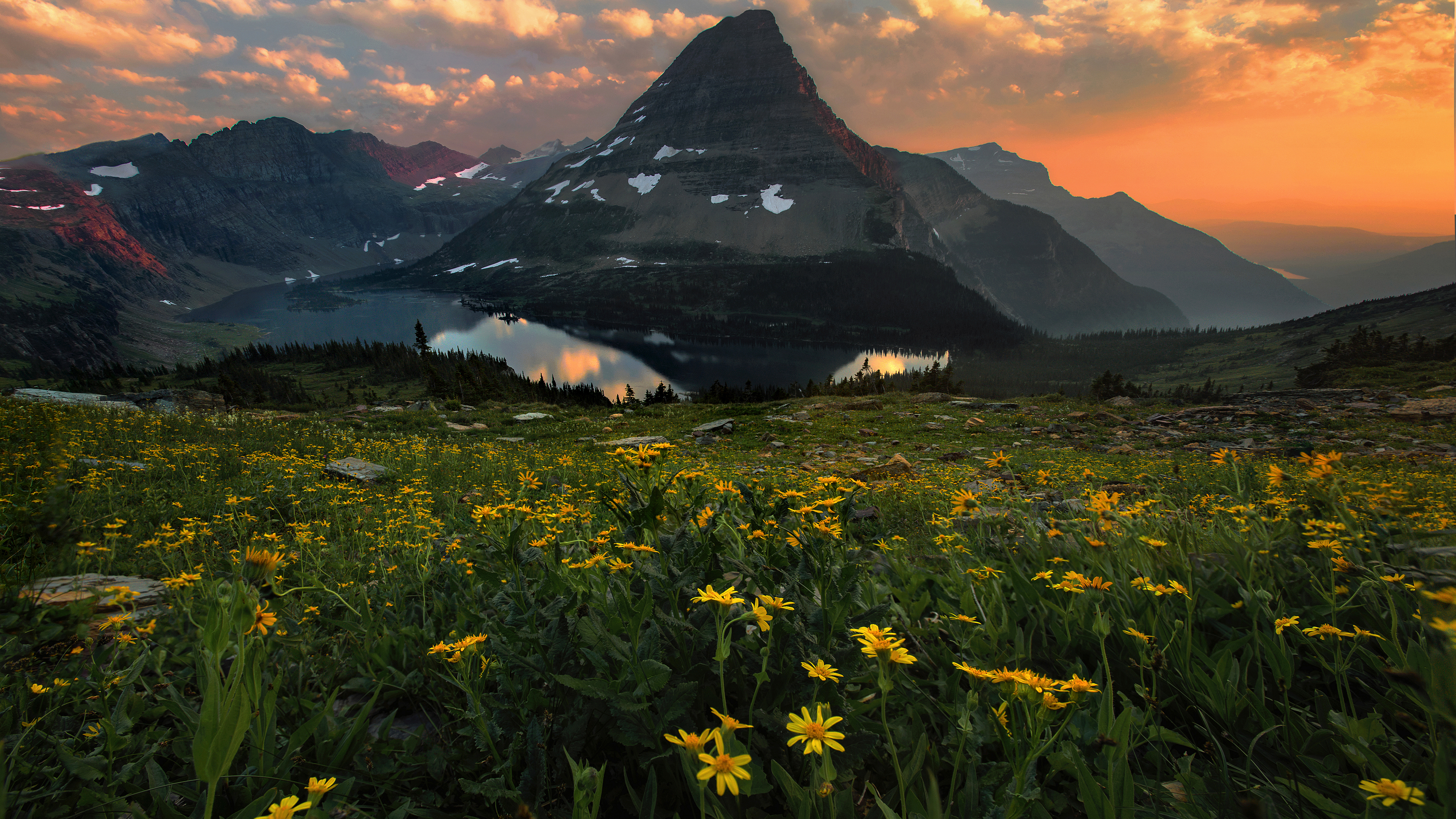 Цветущий луг и горы · бесплатное фото
