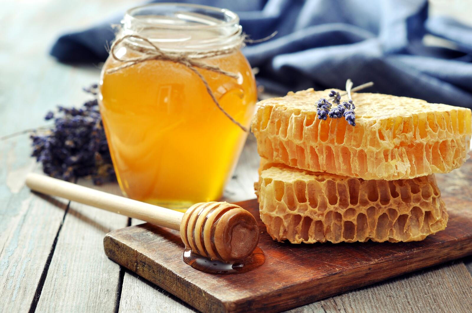 免费照片蜂蜜从蜜蜂的蜂窝