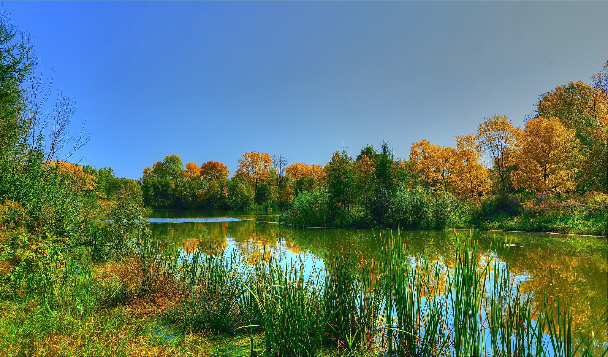 Wallpapers autumn river pond on the desktop