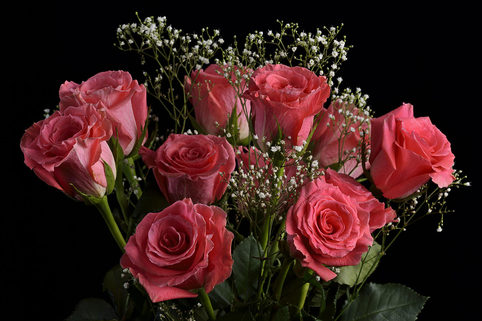 桌面上的壁纸玫瑰 花束 花
