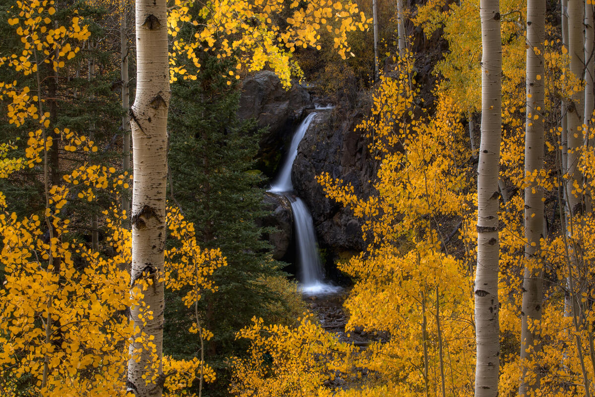 Autumn waterfall in Aspen Forest