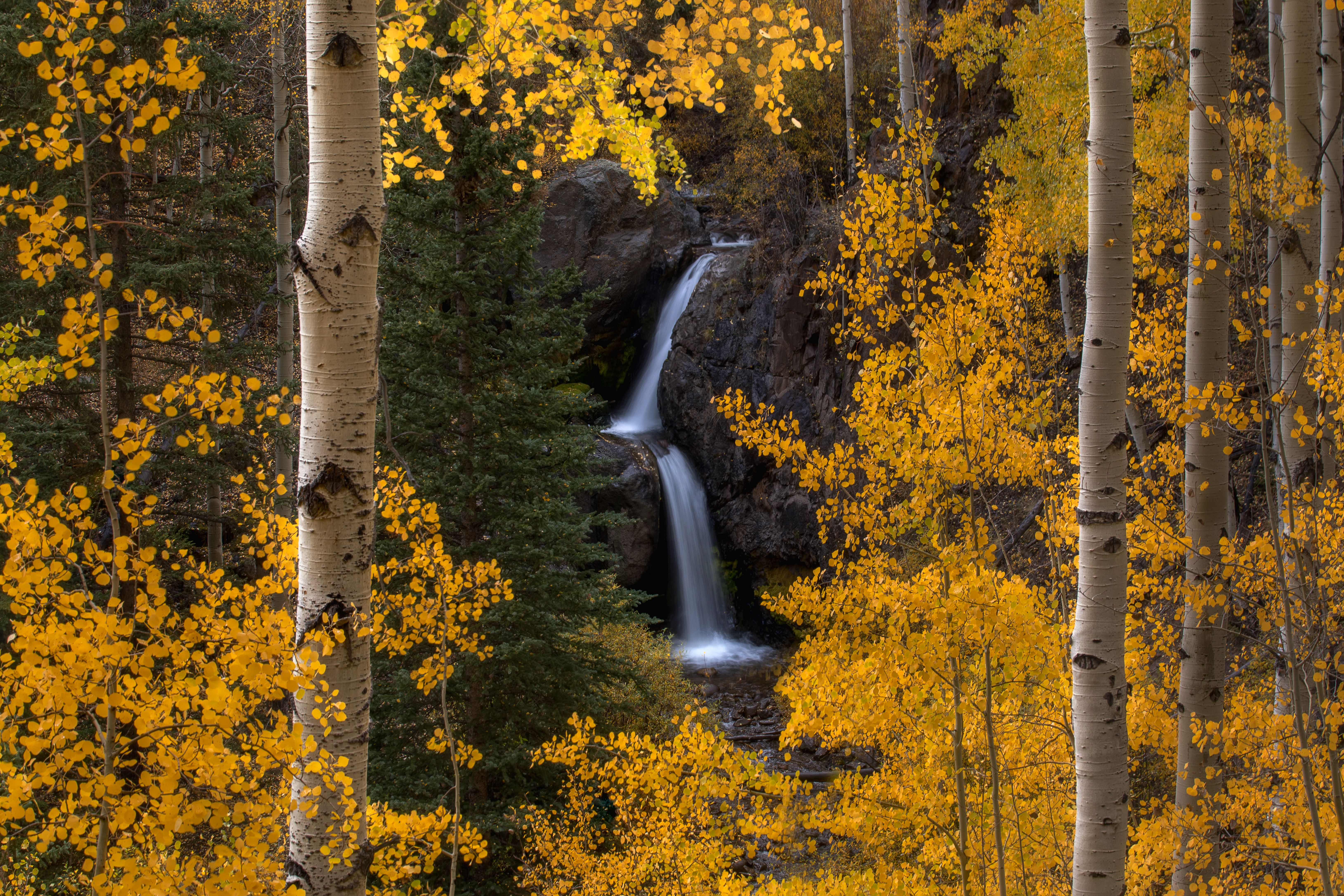 免费照片阿斯彭森林的秋季瀑布