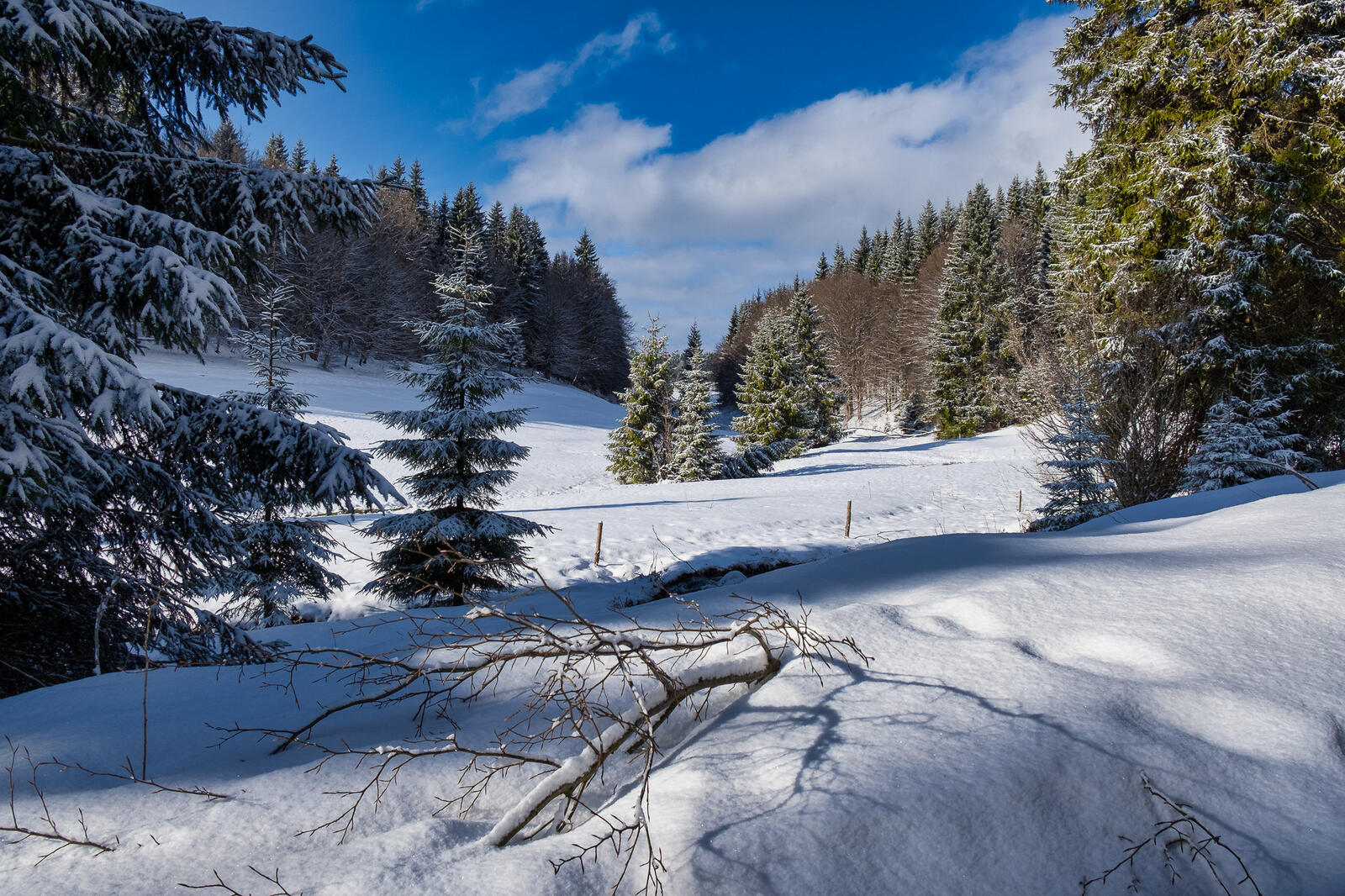 Обои Тюрингский лес Германия зима на рабочий стол