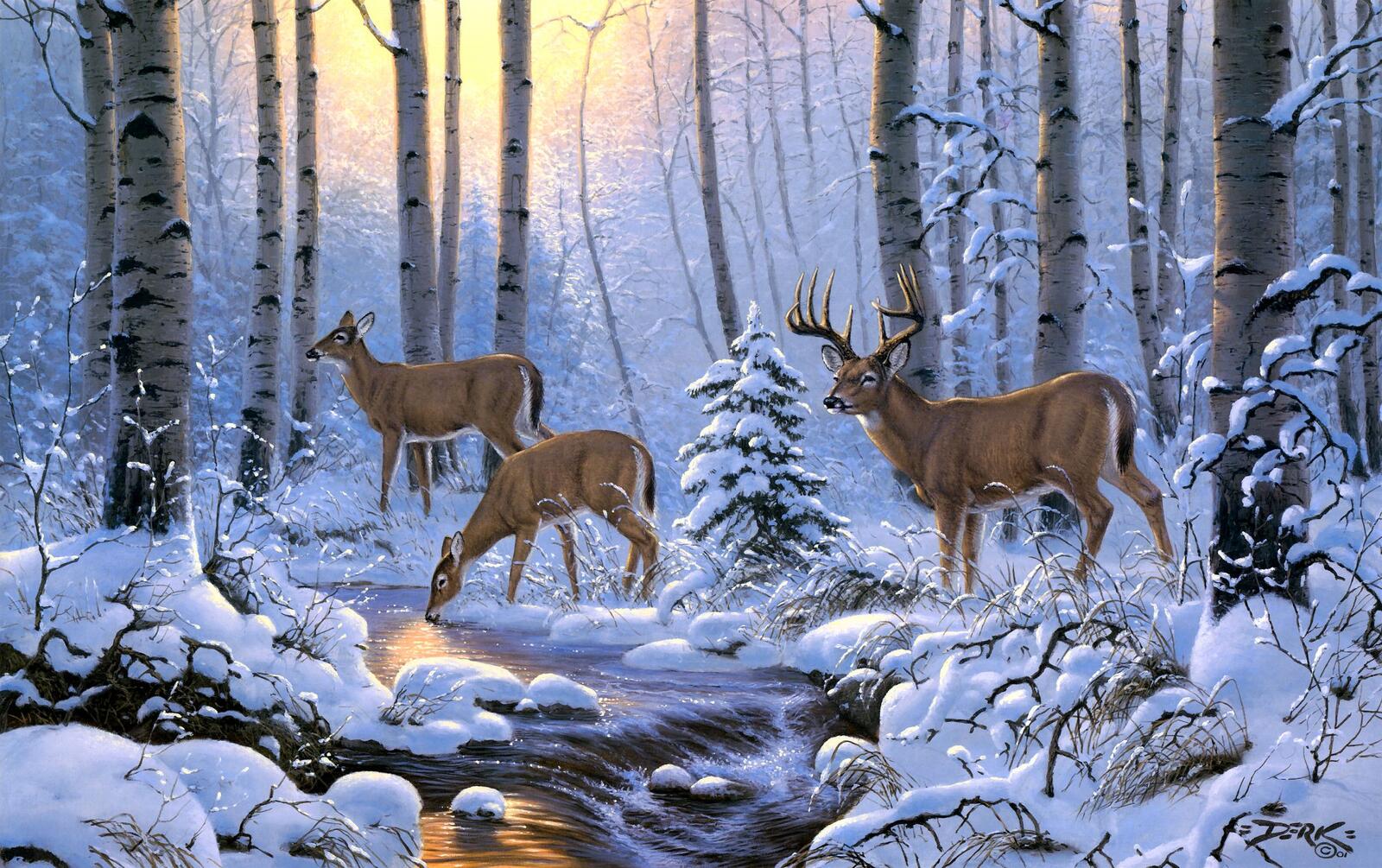 Wallpapers deer at the watering winter deer on the desktop