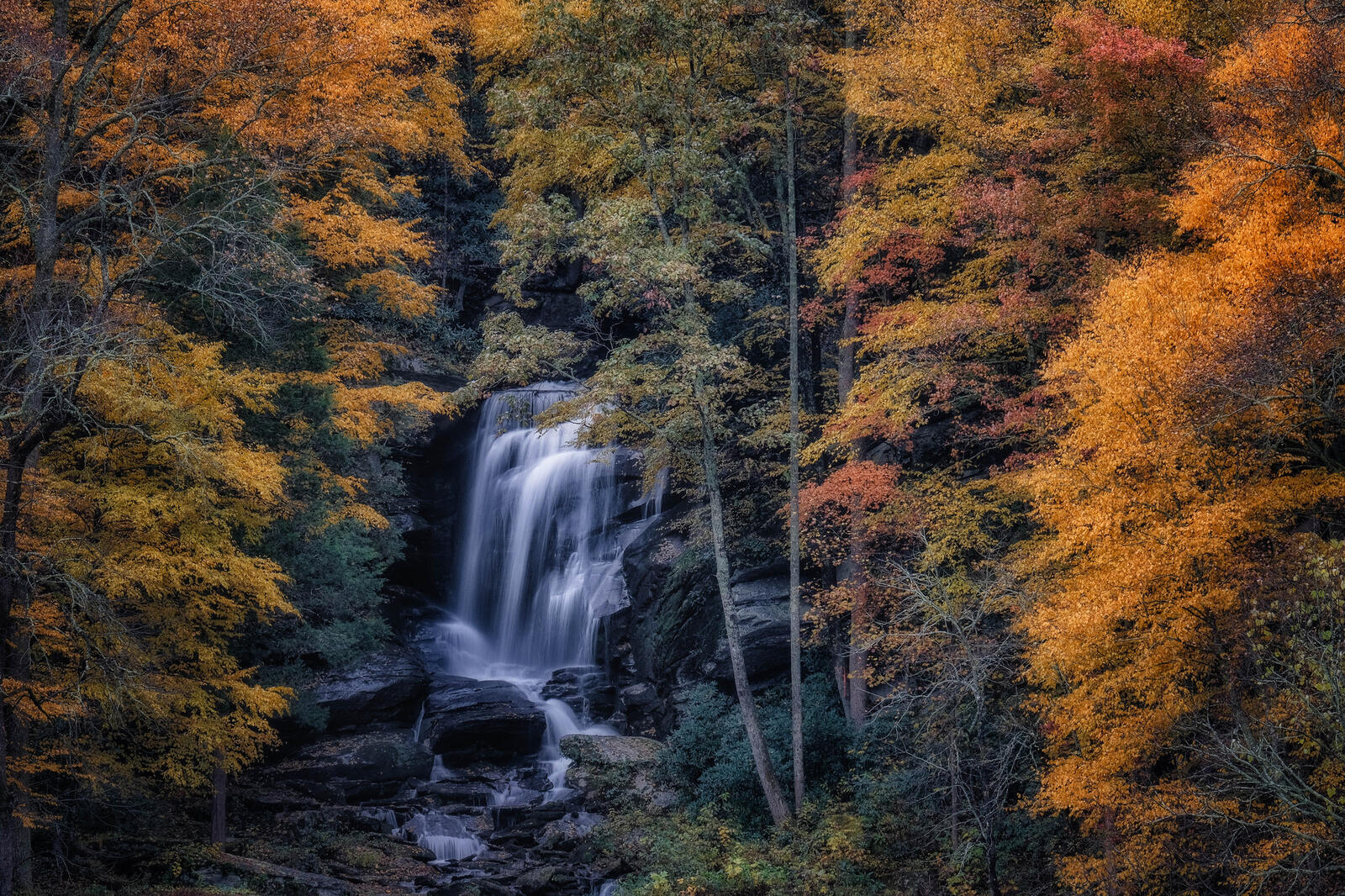 Wallpapers autumn forest autumn waterfall in the forest on the desktop