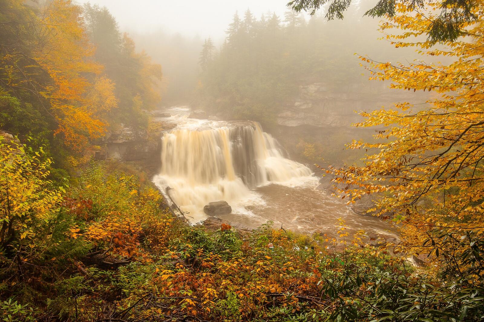 Венсенский лес водопад. Золотая осень и водопад. Водопад осенью в лесу. Осенний водопад. Fall state