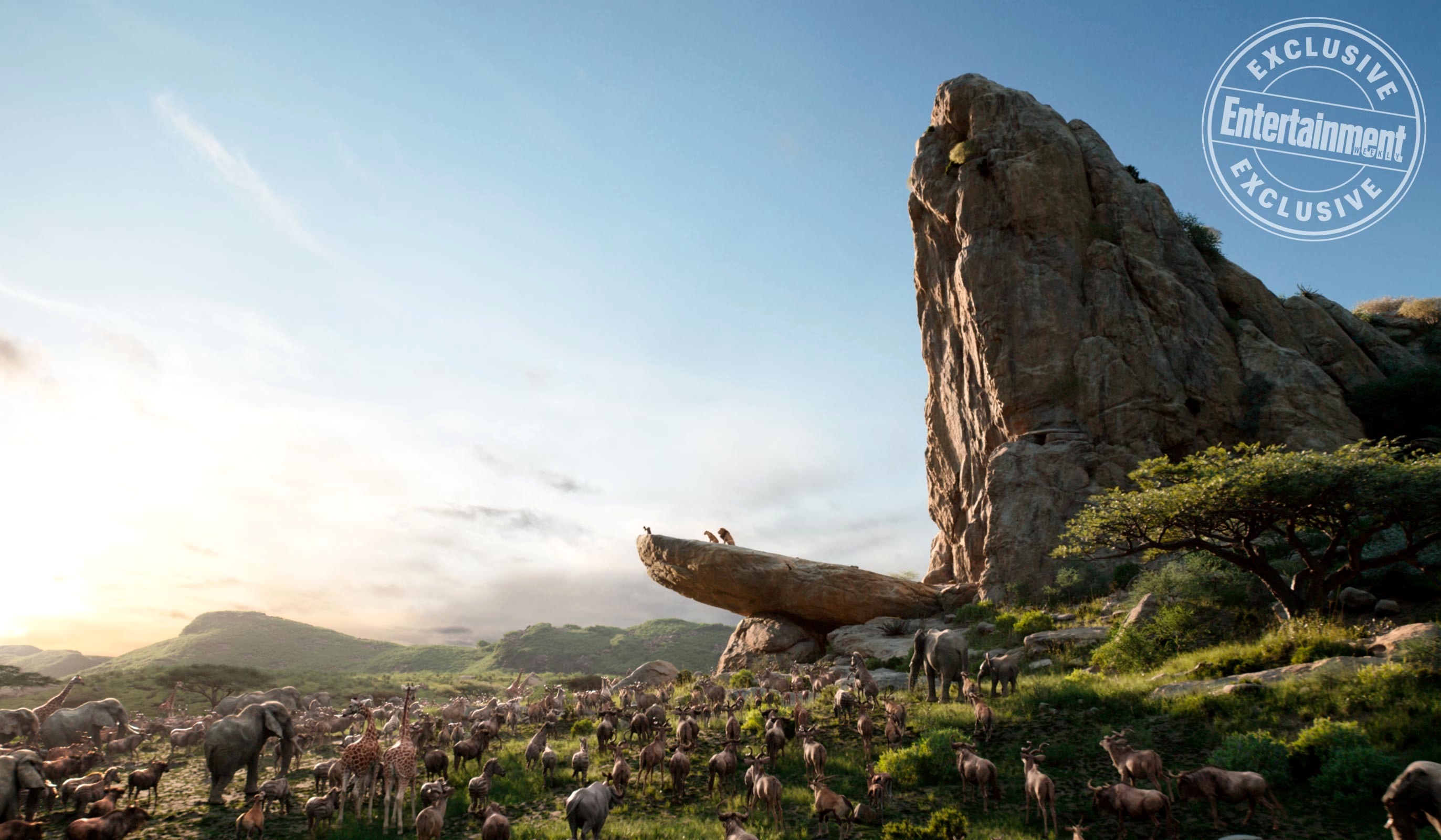 Photo free Lion king, the rock, the throne