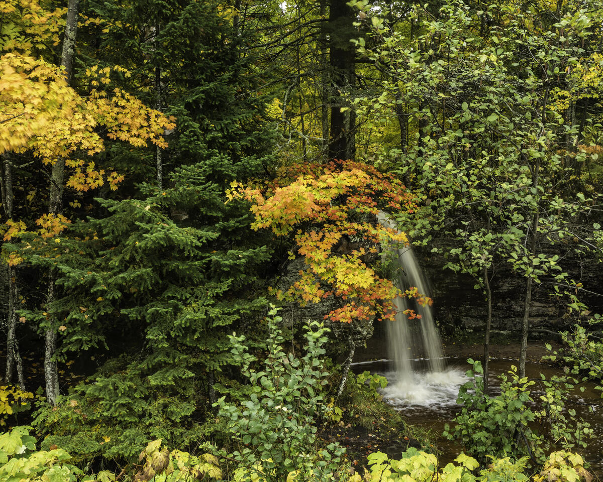 Маленький водопад в осеннем лесу