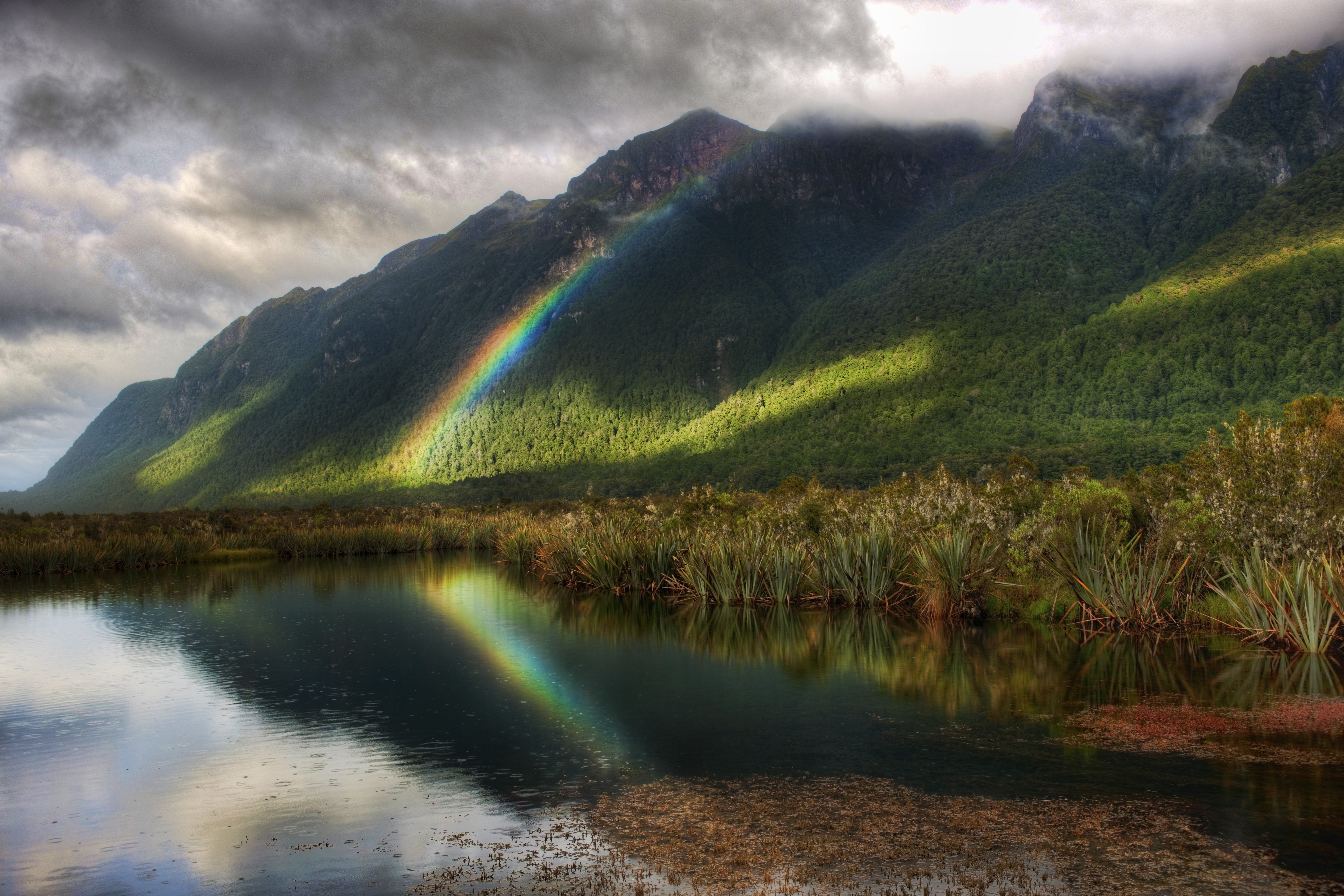 Обои Mountains Mountain Splendor Green Peaceful New Reflection Rainbow Forest на рабочий стол