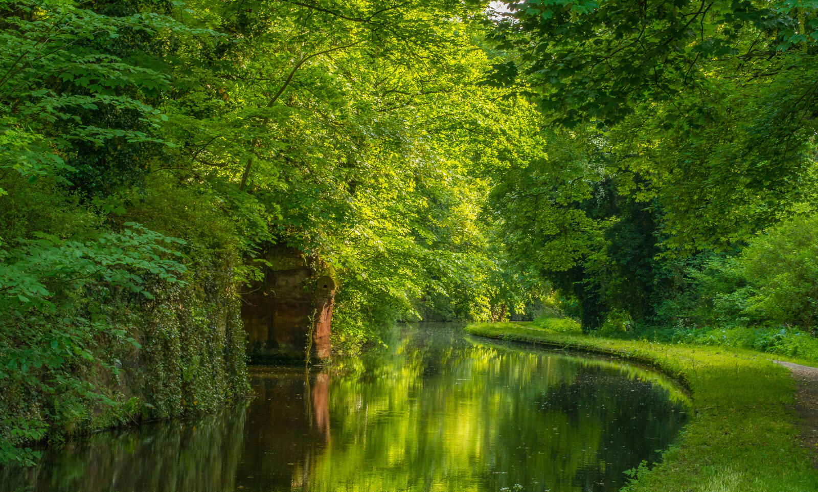Wallpapers Staffordshire and Worcestershire canal in Kinver England forest on the desktop