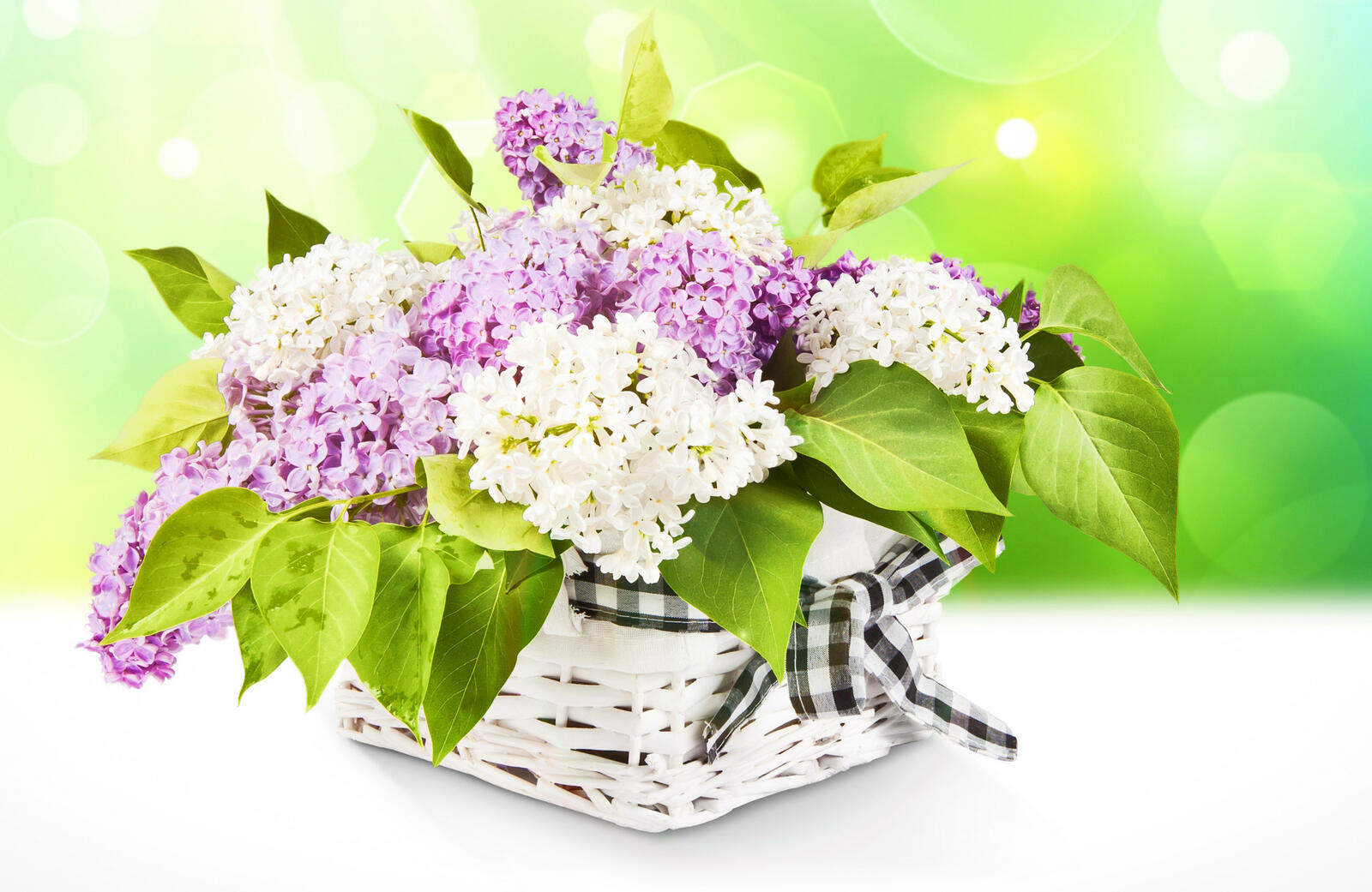 Wallpapers a still-life lilacs bunch of flowers on the desktop