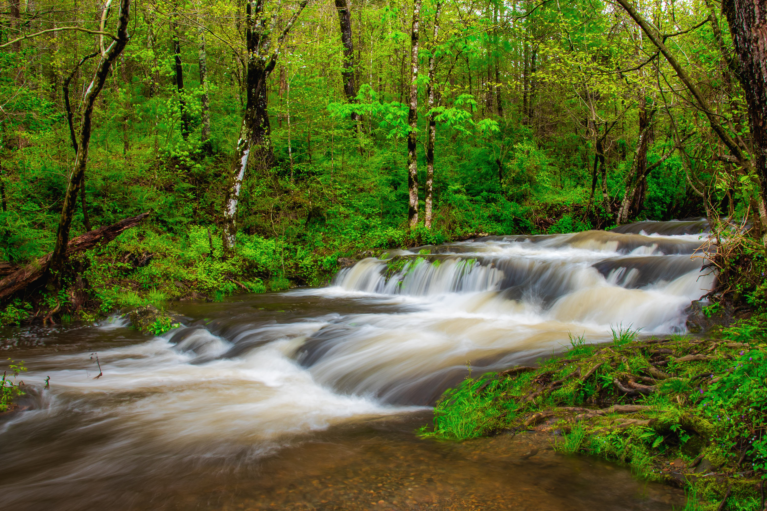 Обои North Carolina Great Smoky Mountains National Park река на рабочий стол