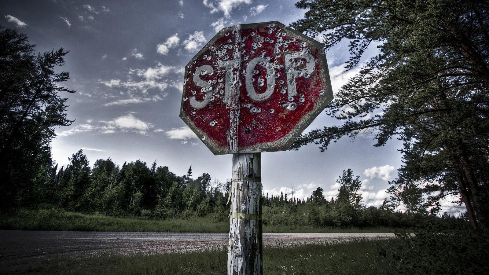 Wallpapers stop sign forest road on the desktop