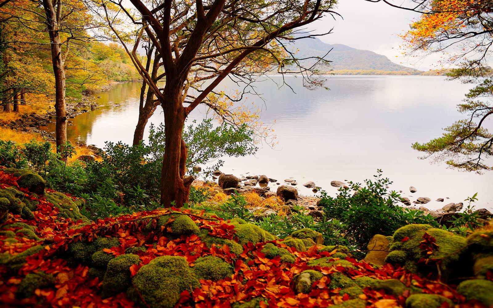 Wallpapers autumn lake landscape on the desktop