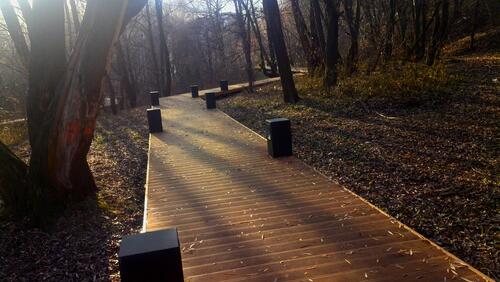 Wooden walkway in the Park
