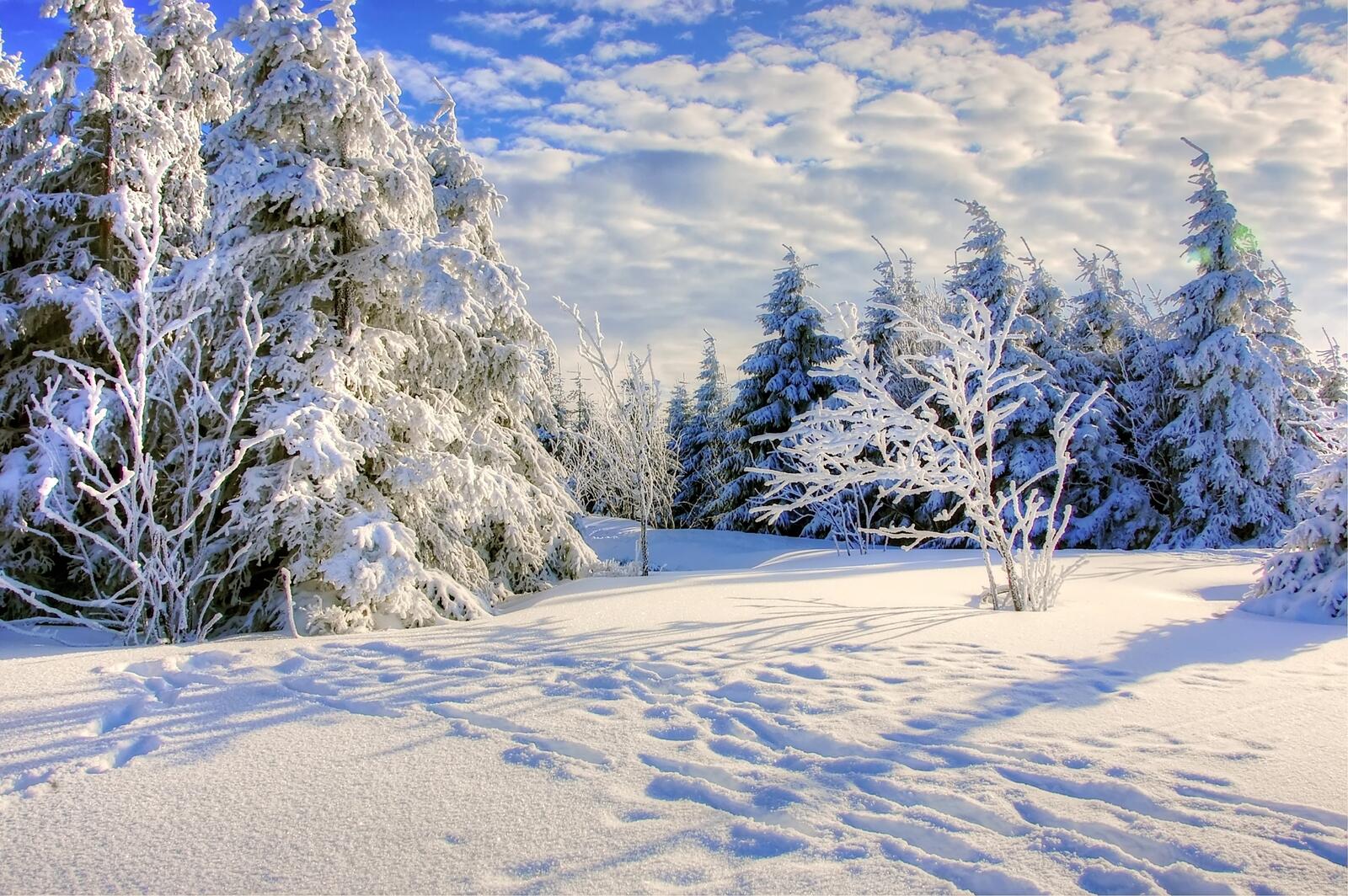 Wallpapers nature sky snow on the desktop