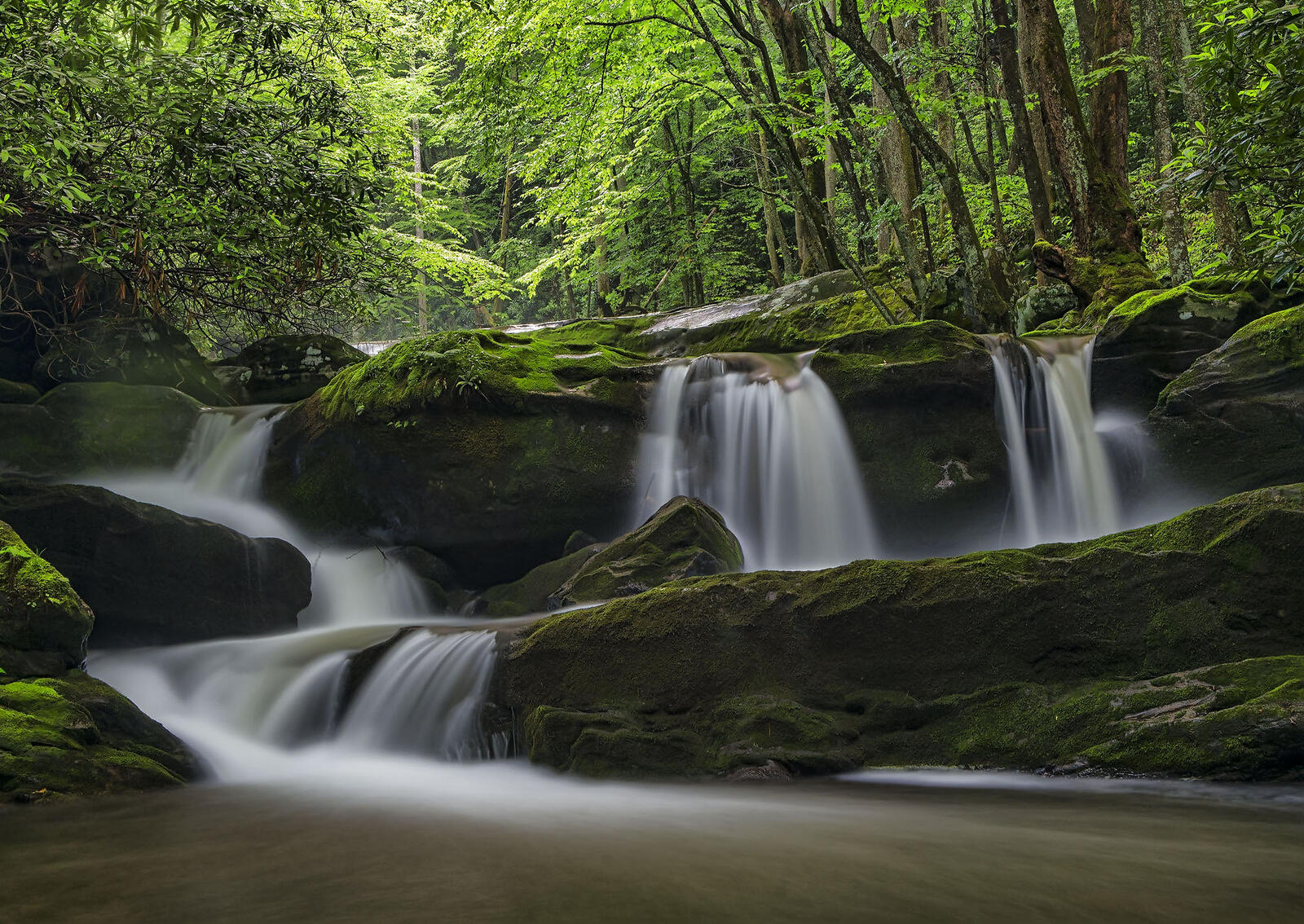 Обои Great Smoky Mountains National Park водопад лес на рабочий стол
