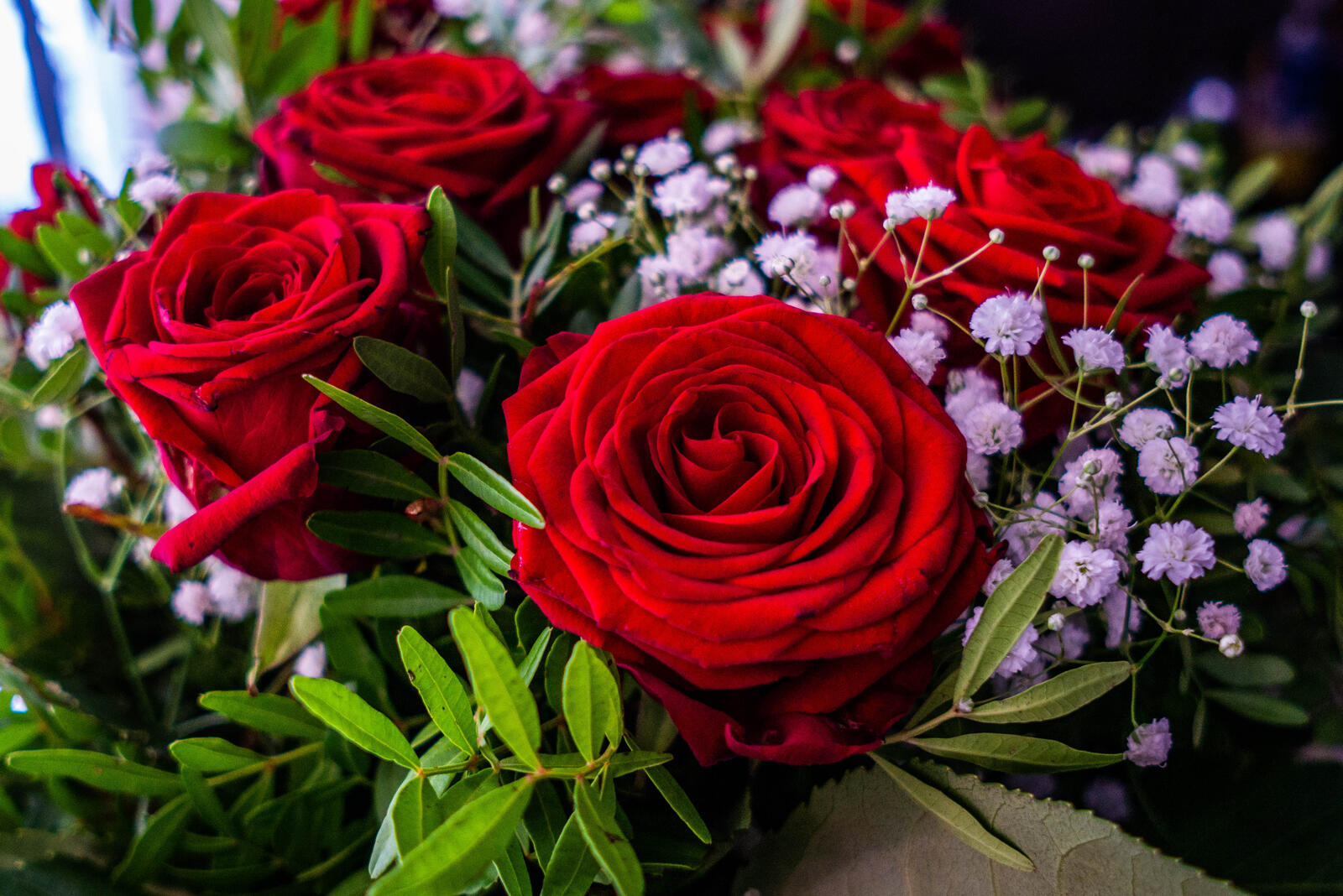Бесплатное фото Цветы розы букет