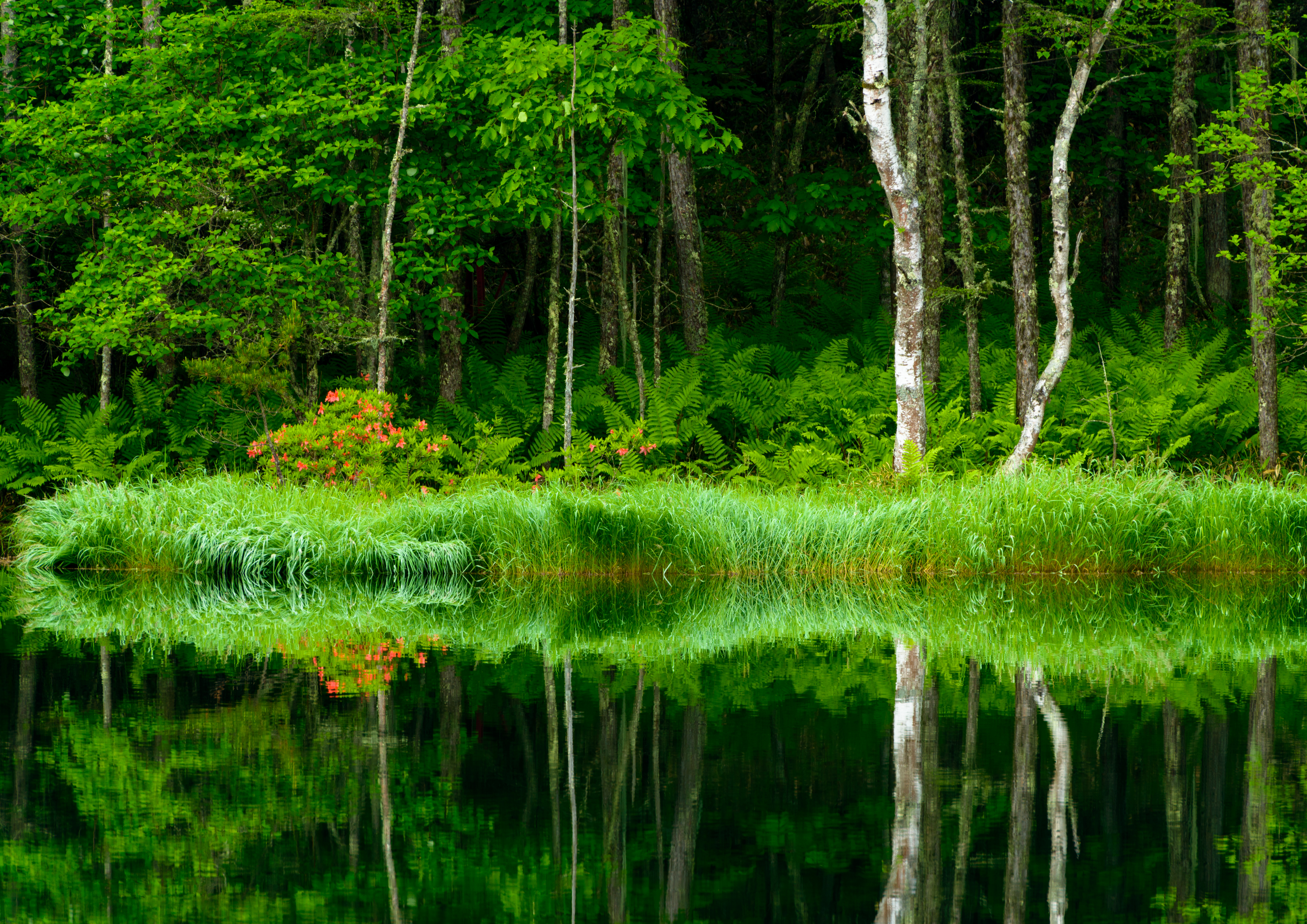 Wallpapers nature reflection calmness on the desktop