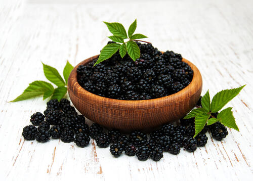 Many blackberries in a bowl