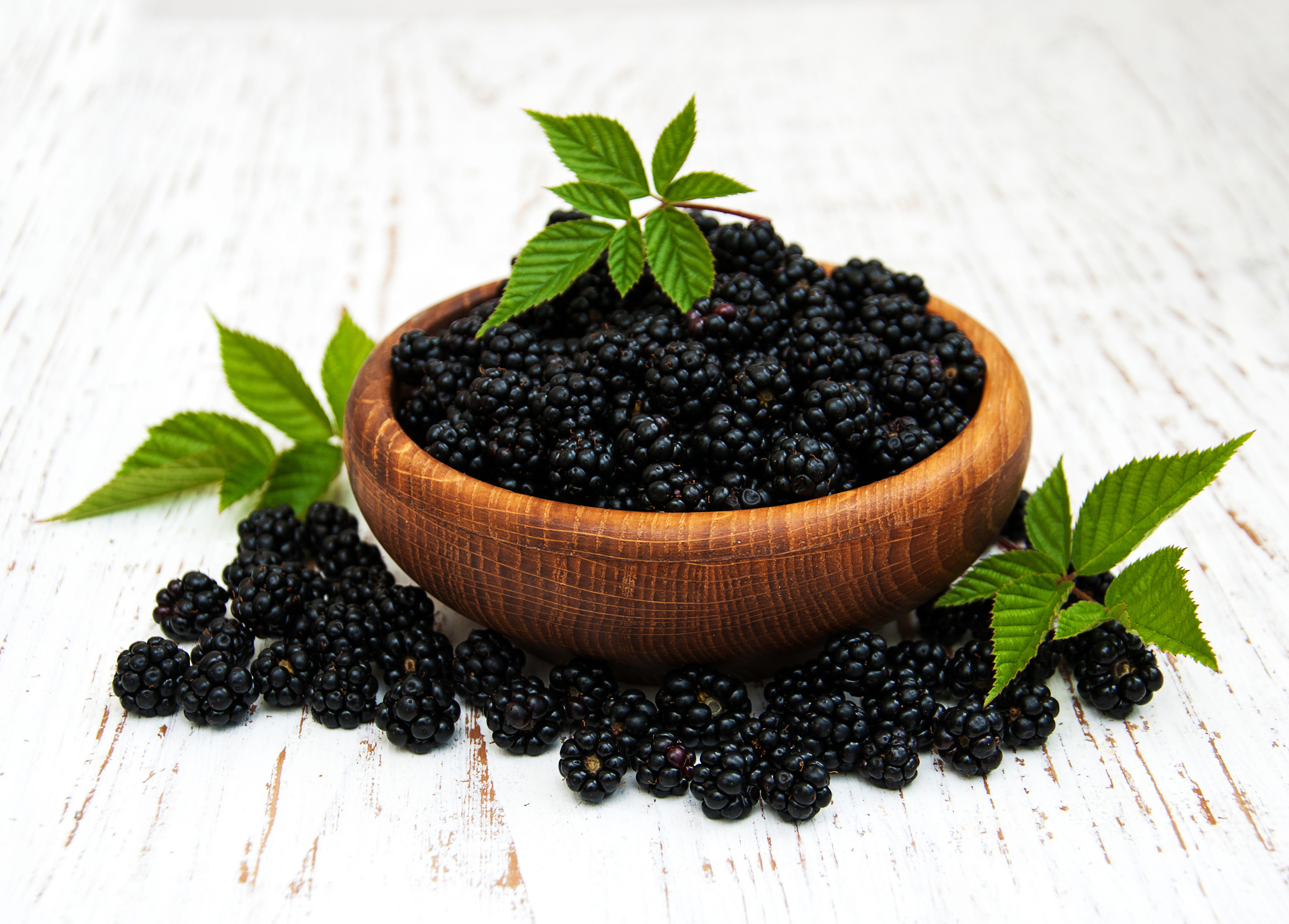 Free photo Many blackberries in a bowl