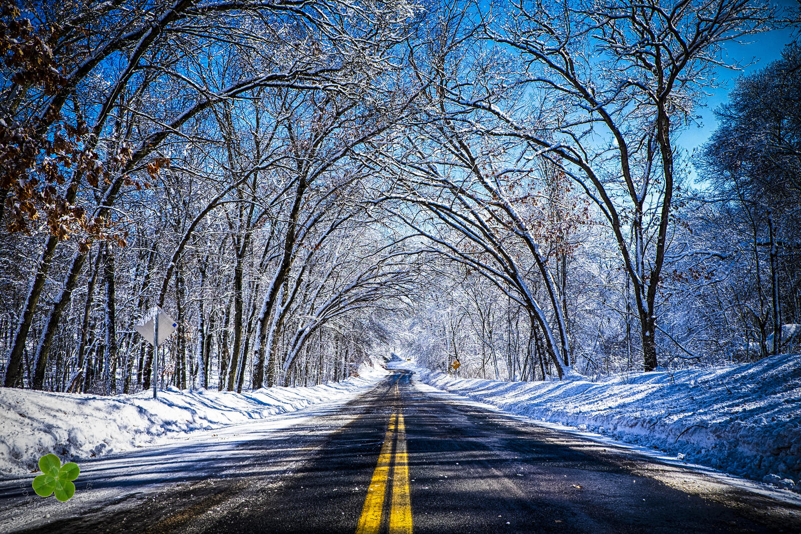 Free photo Winter road under the branches of trees