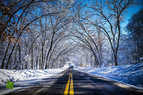 Winter road under the branches of trees