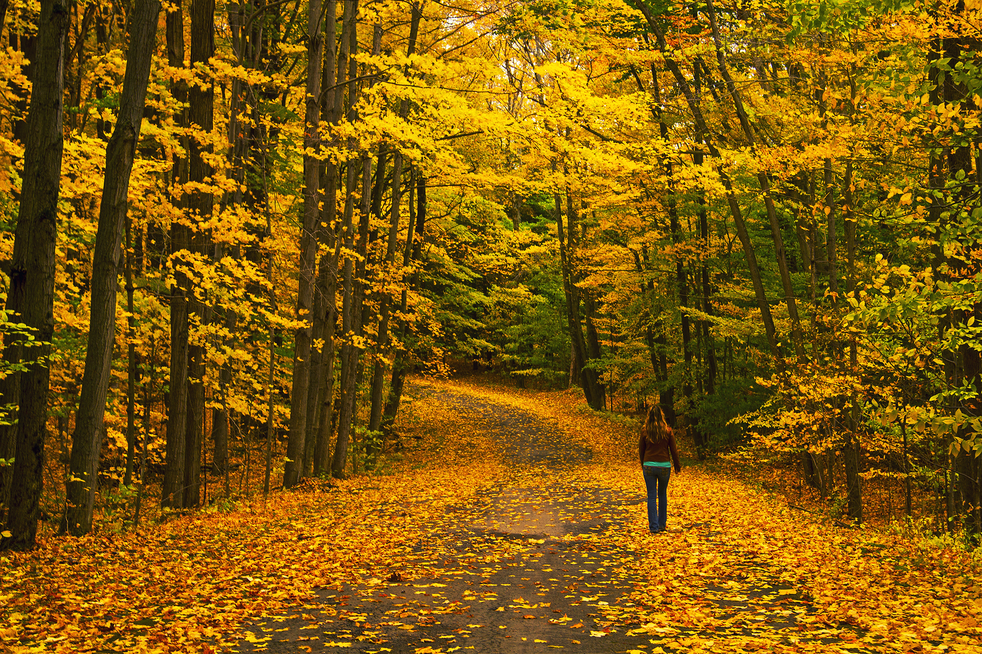 Wallpapers road girl autumn colors on the desktop