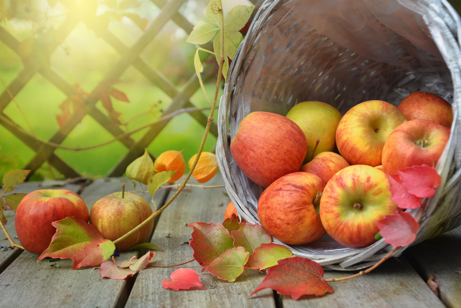 Бесплатное фото Осенние яблоки в корзинке