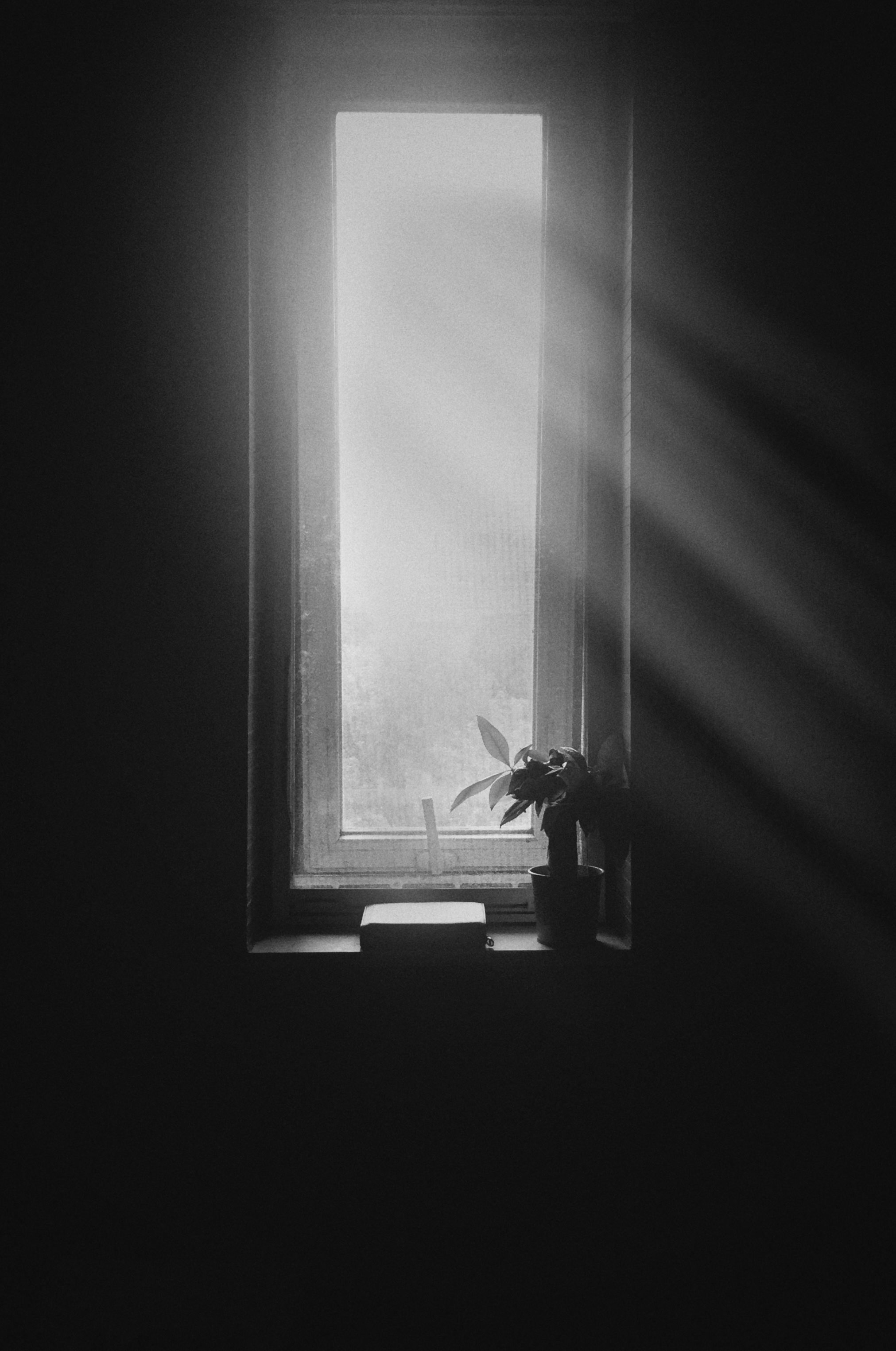 Душа в окне свет